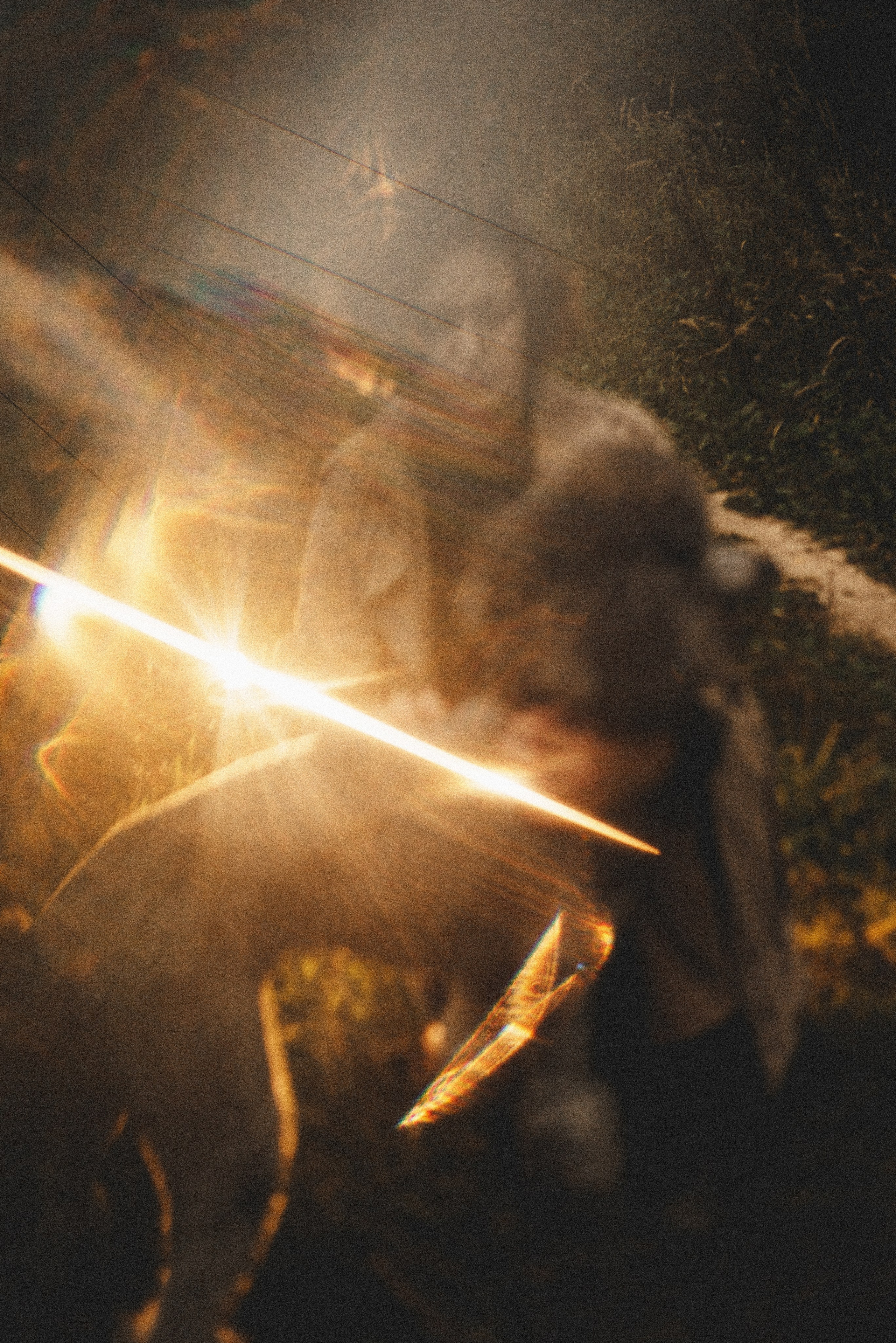 Алёна и Смоки. Фотограф-анималист Богданова Полина