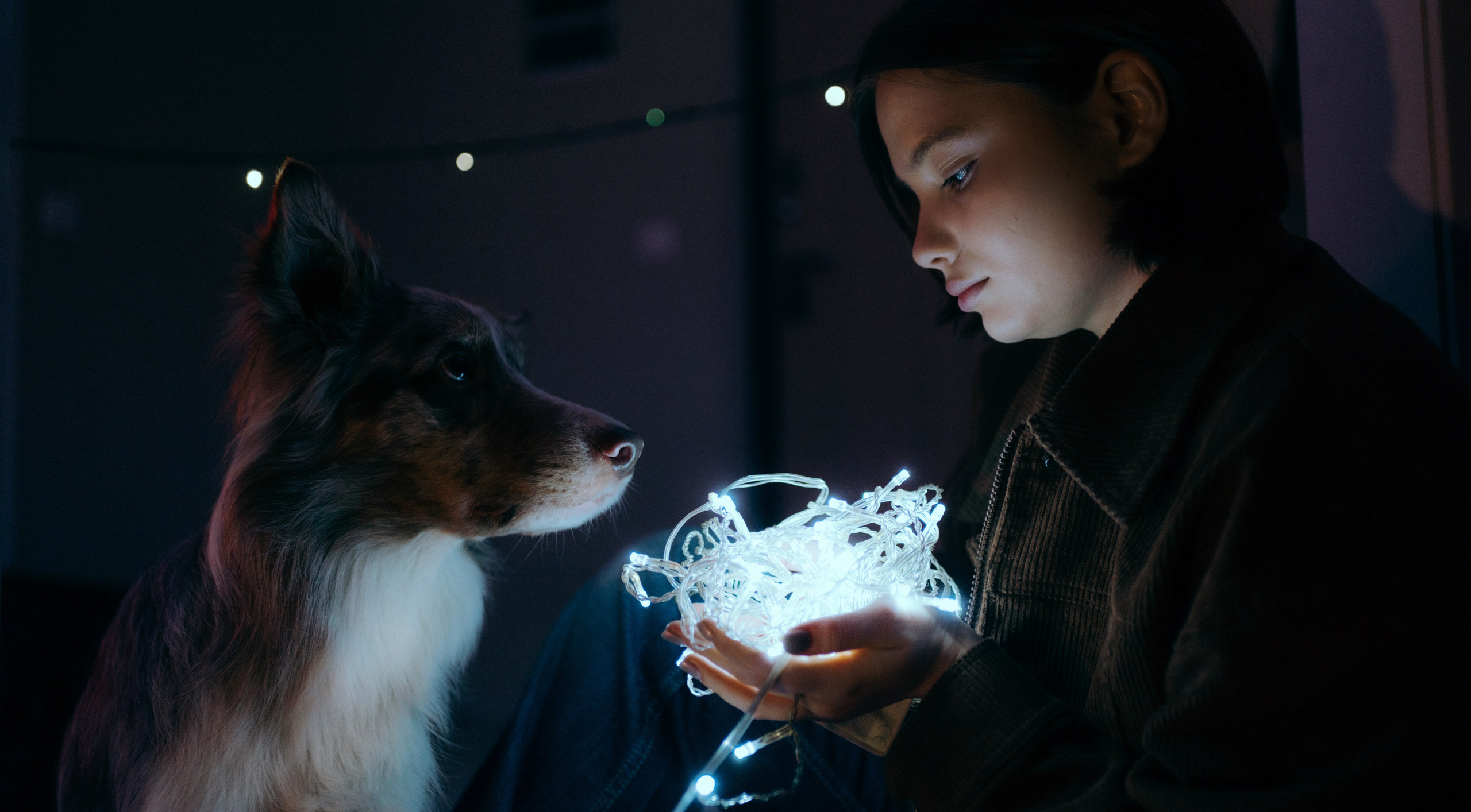 Аня и Дэймон. Фотограф-анималист Богданова Полина