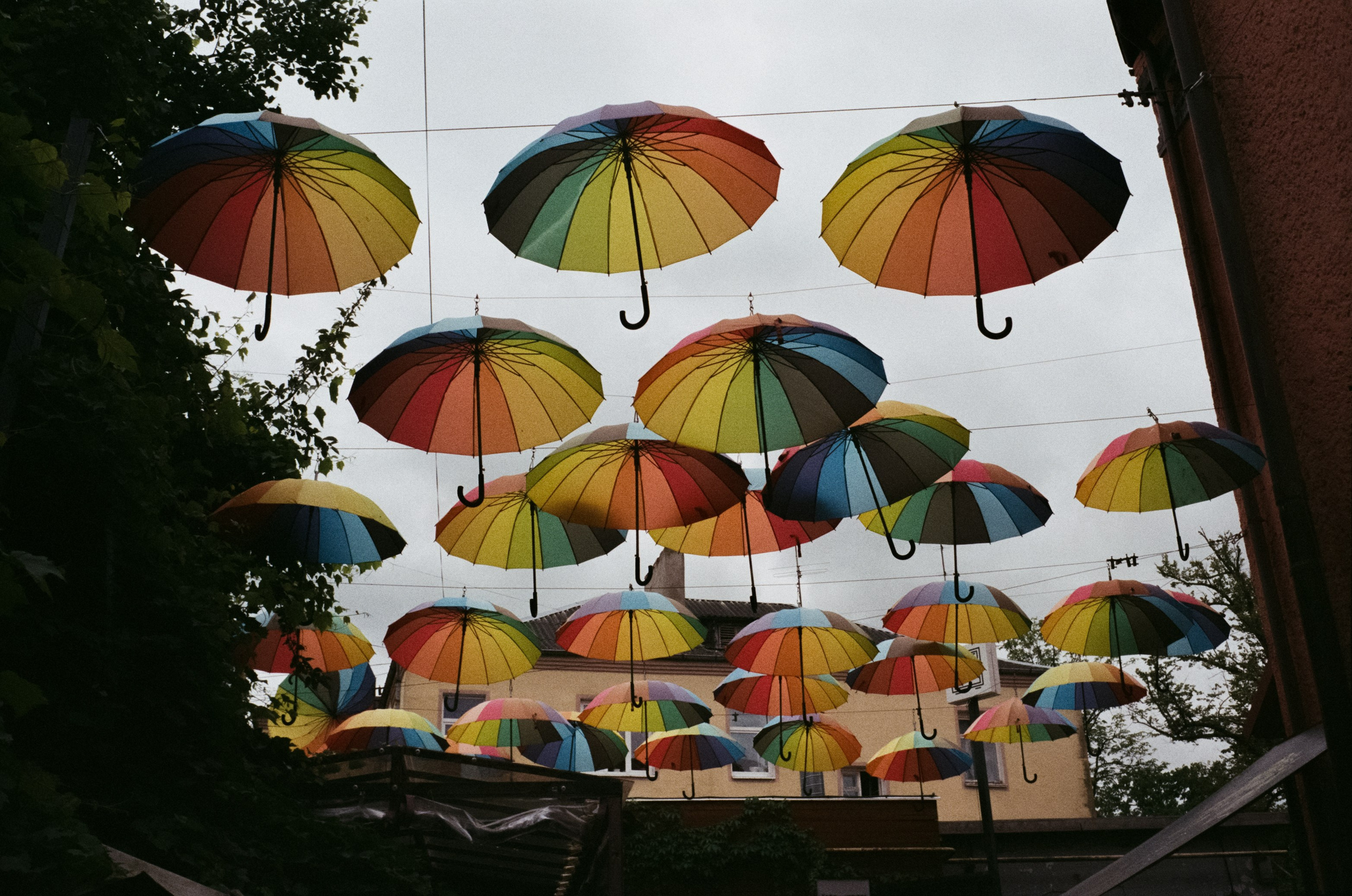 Калининград остров Канта, Кафедральный собор / Minox 35 GT (2)