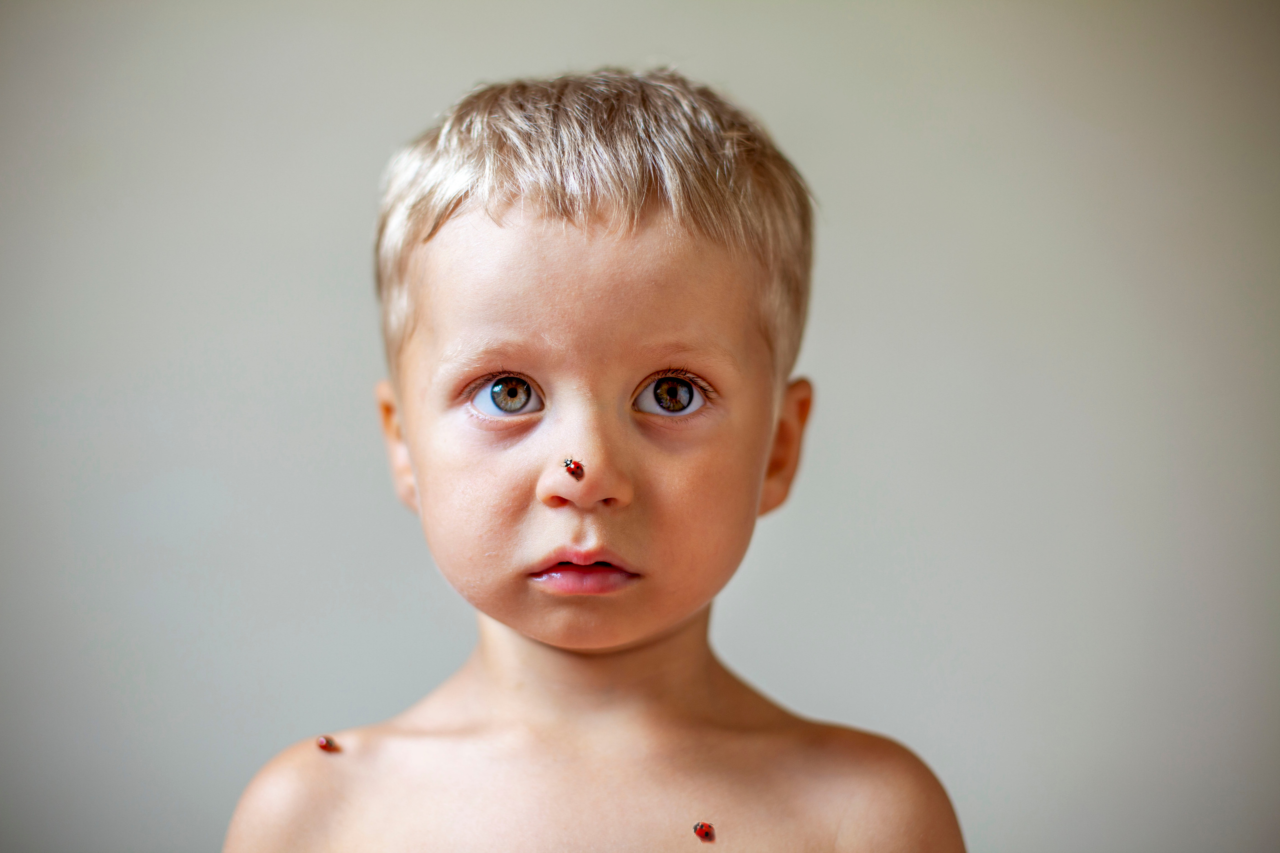 Фотостудия Панда