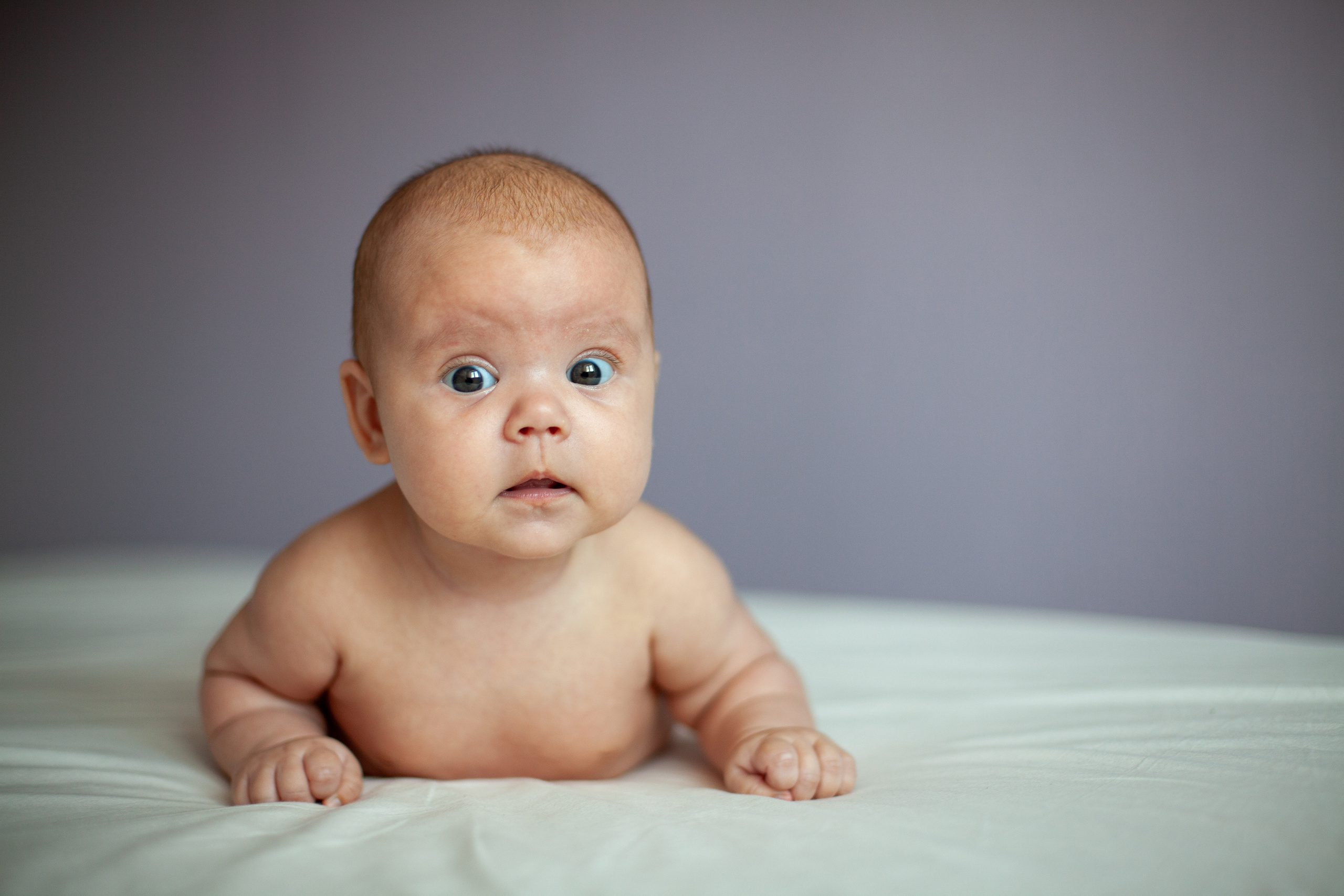 Фотостудия Панда