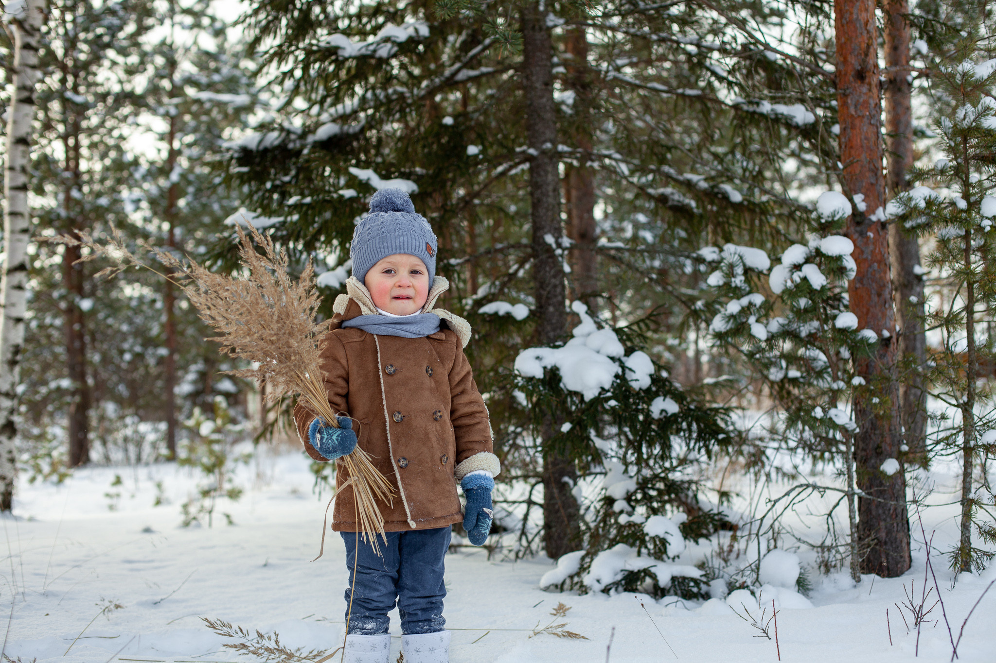 Фотостудия Панда