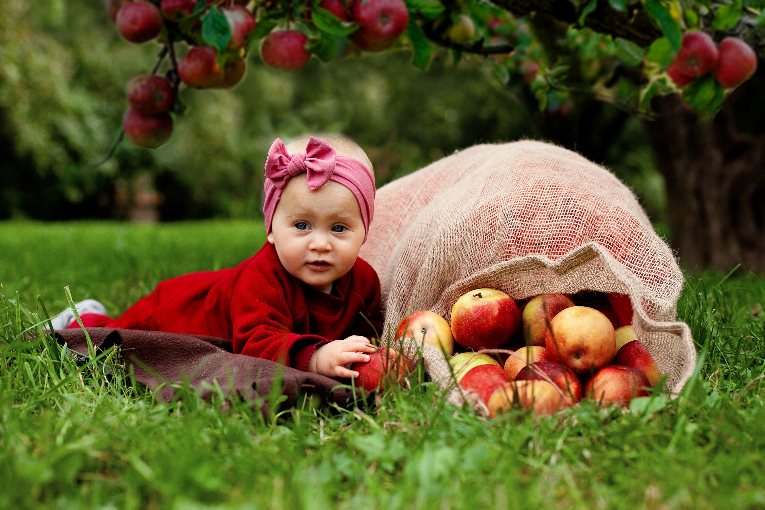 Фотостудия Панда