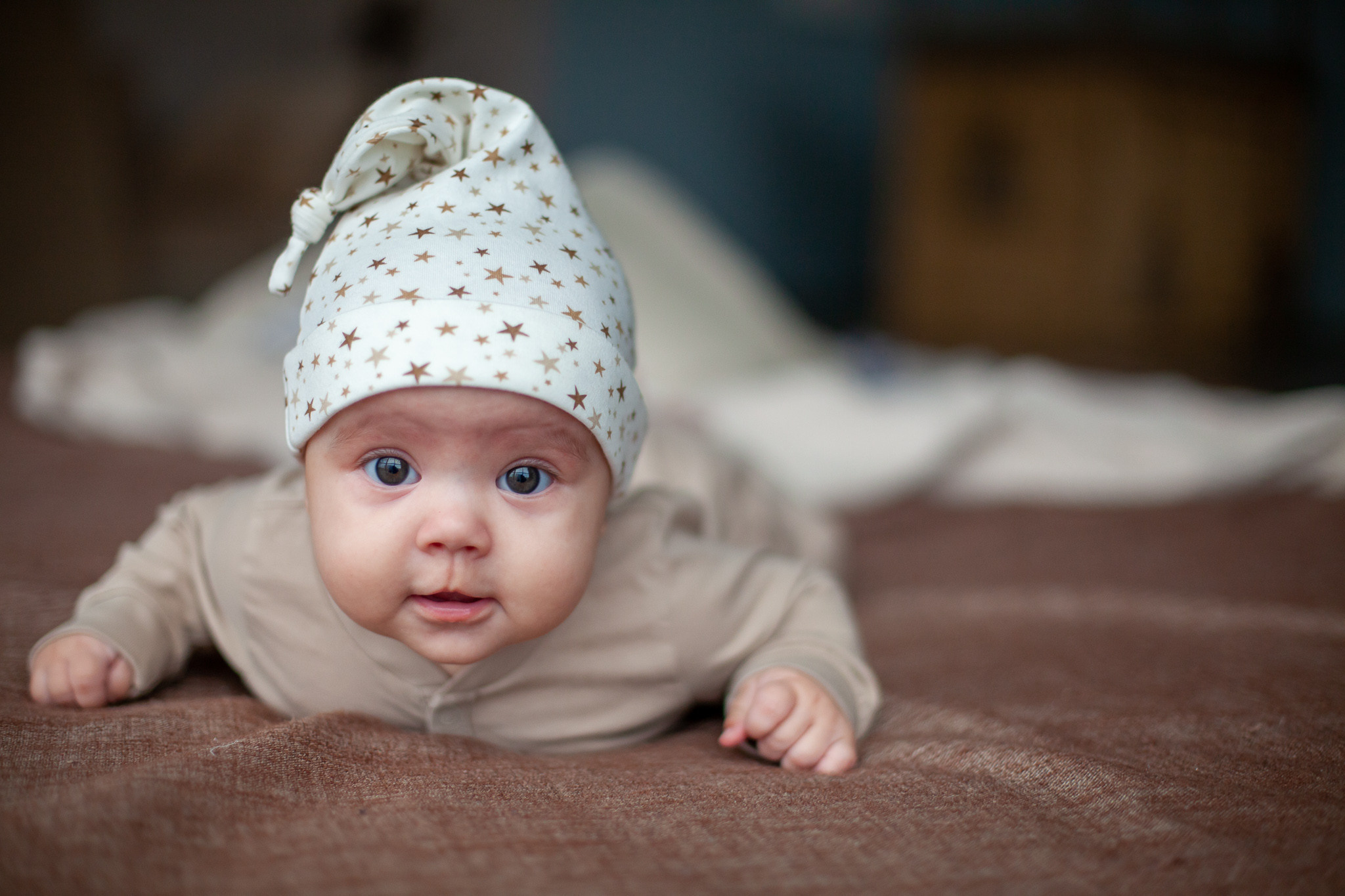 Фотостудия Панда