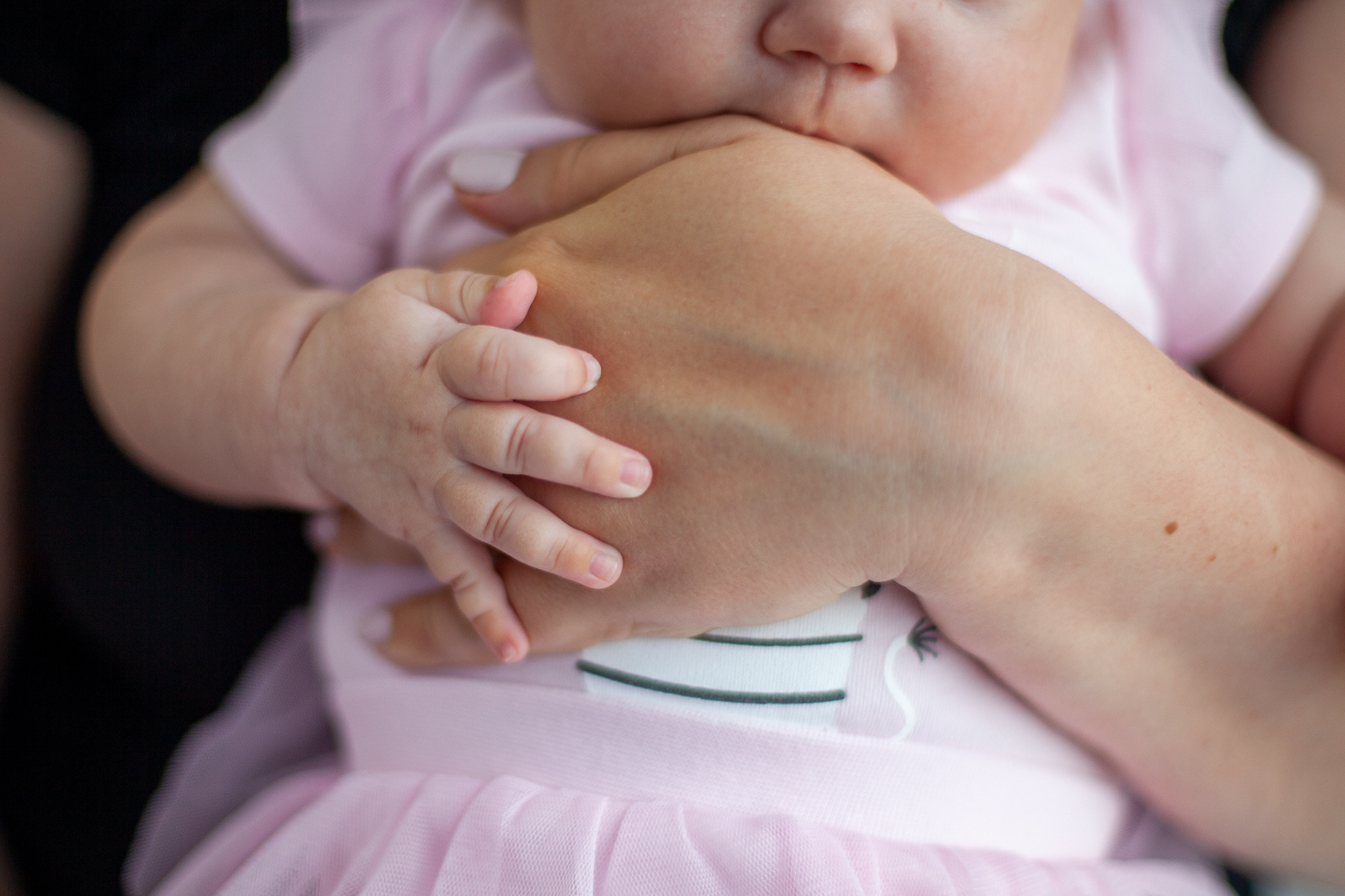 Фотостудия Панда