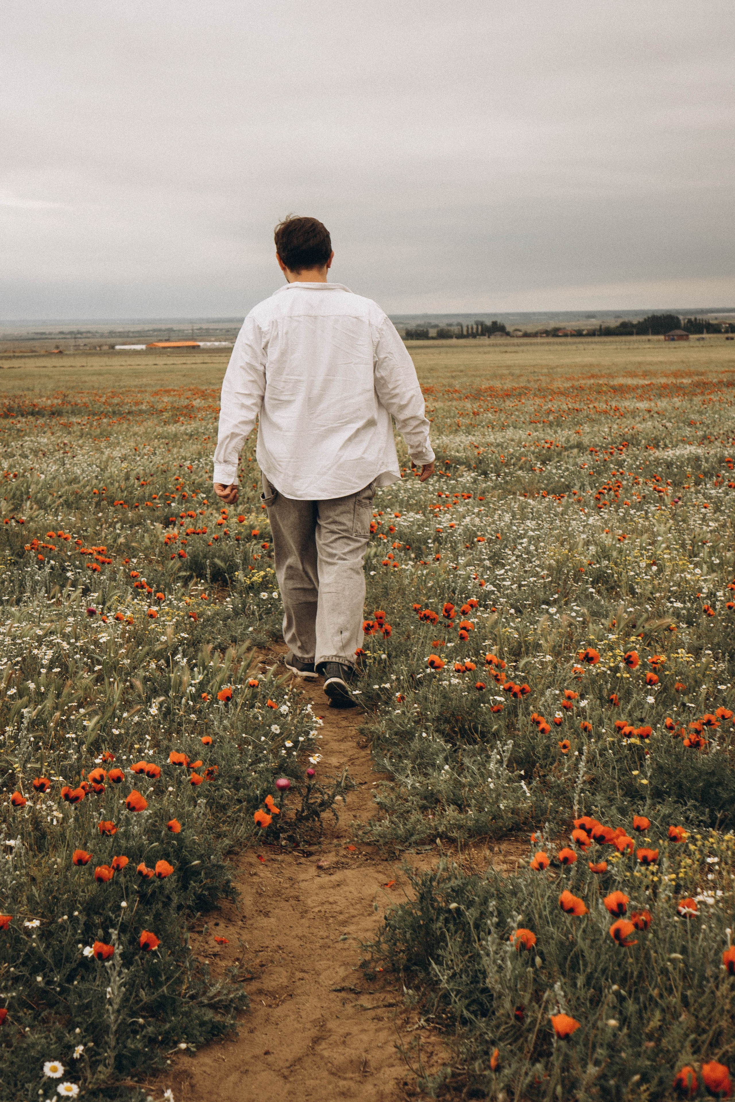 Маки. Профессиональный фотограф, Санкт-Петербург — Виктория Богомолова