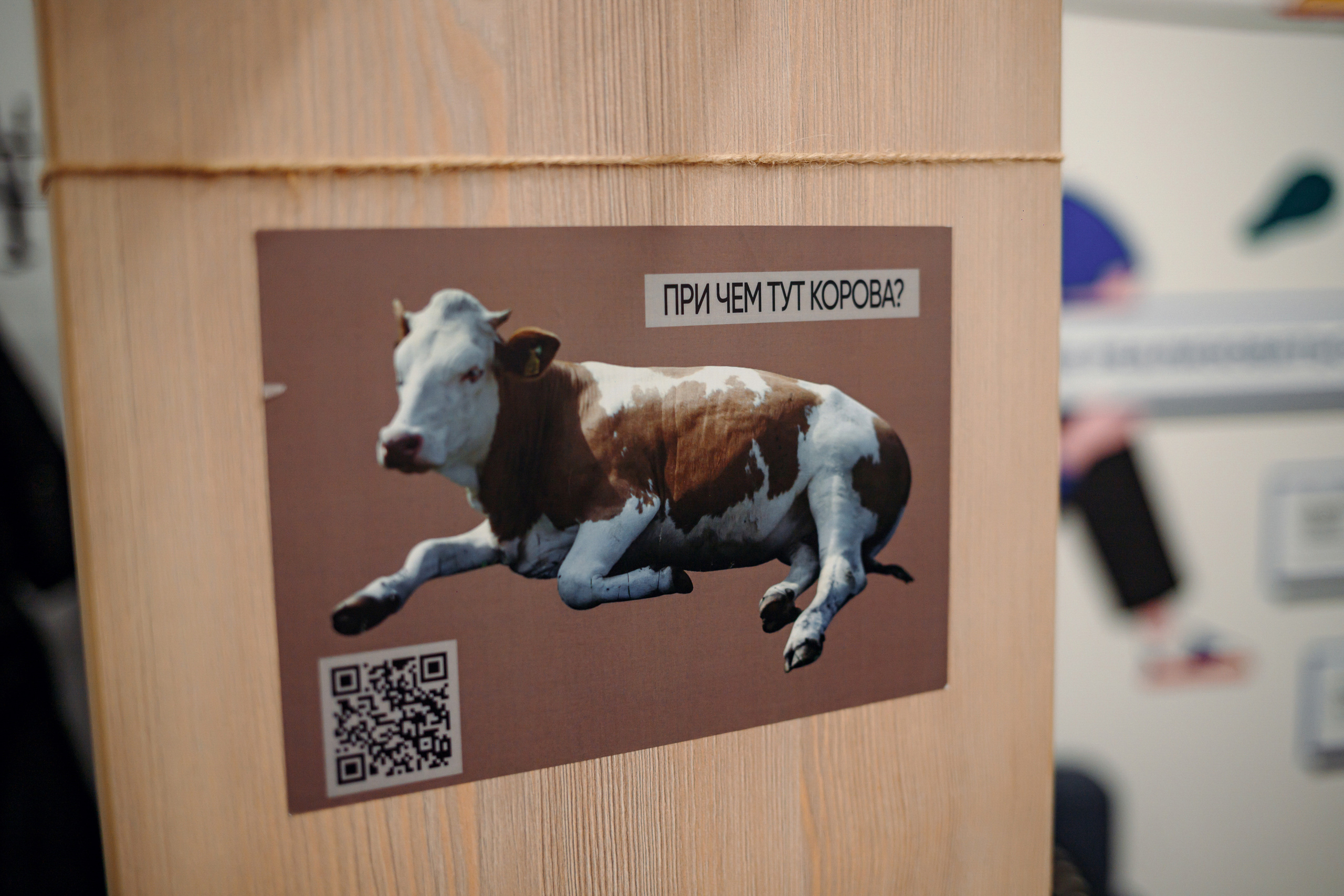 Reportage. Фотограф Ваня Бархатов