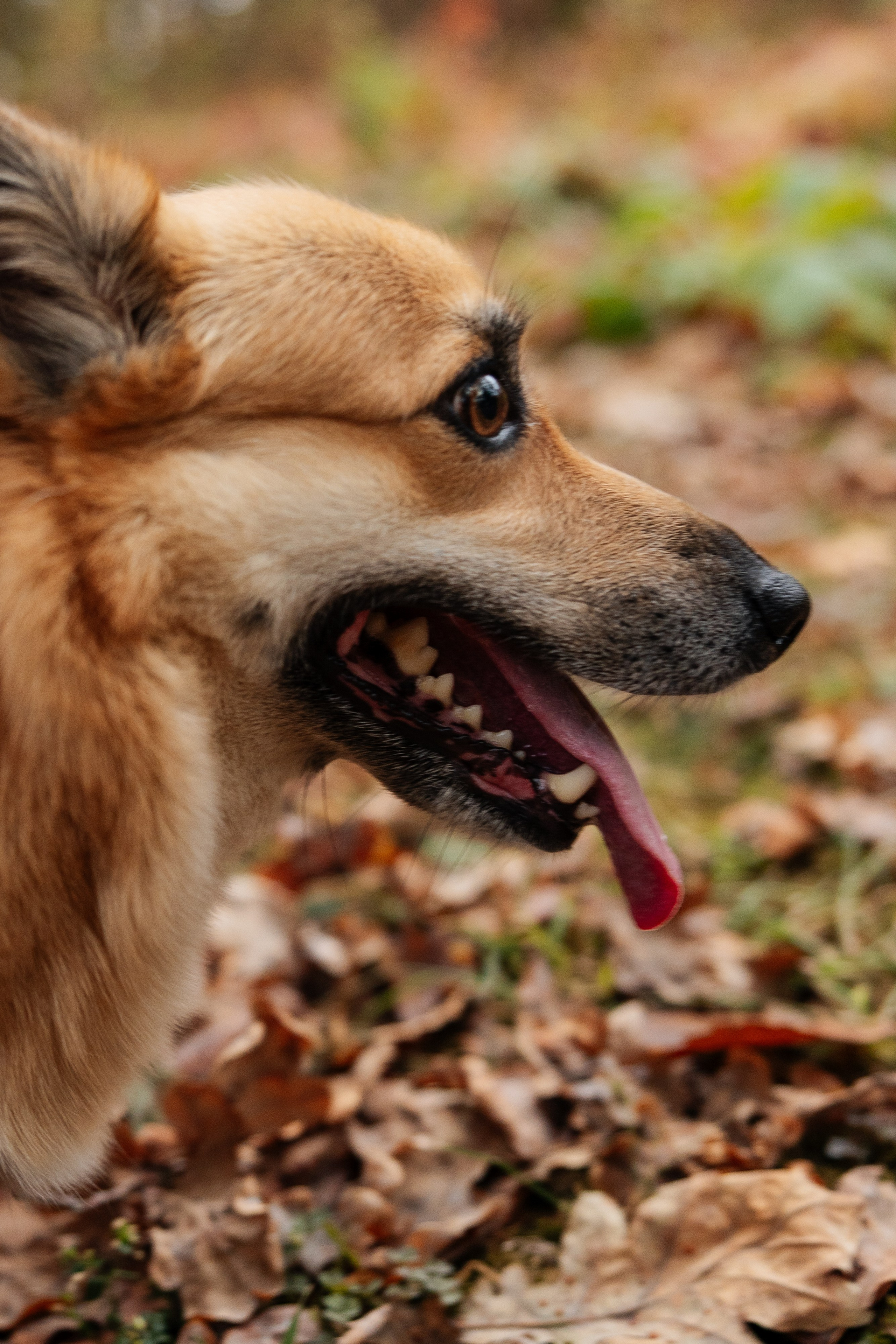 Антон и Настя. Свадебный и репортажный фотограф в Воронеже Сергей Максимов