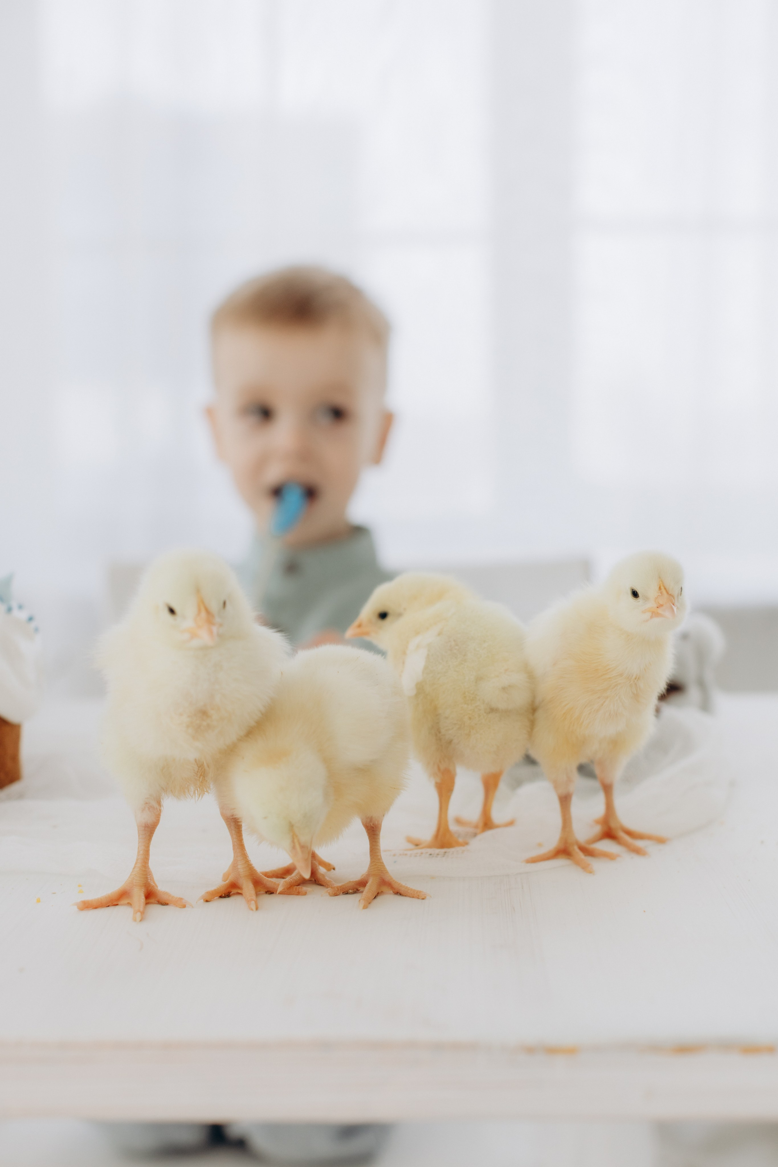 Илюша. Пасхальная съёмка. Семейный и детский Фотограф Ирина Фенина Саратов