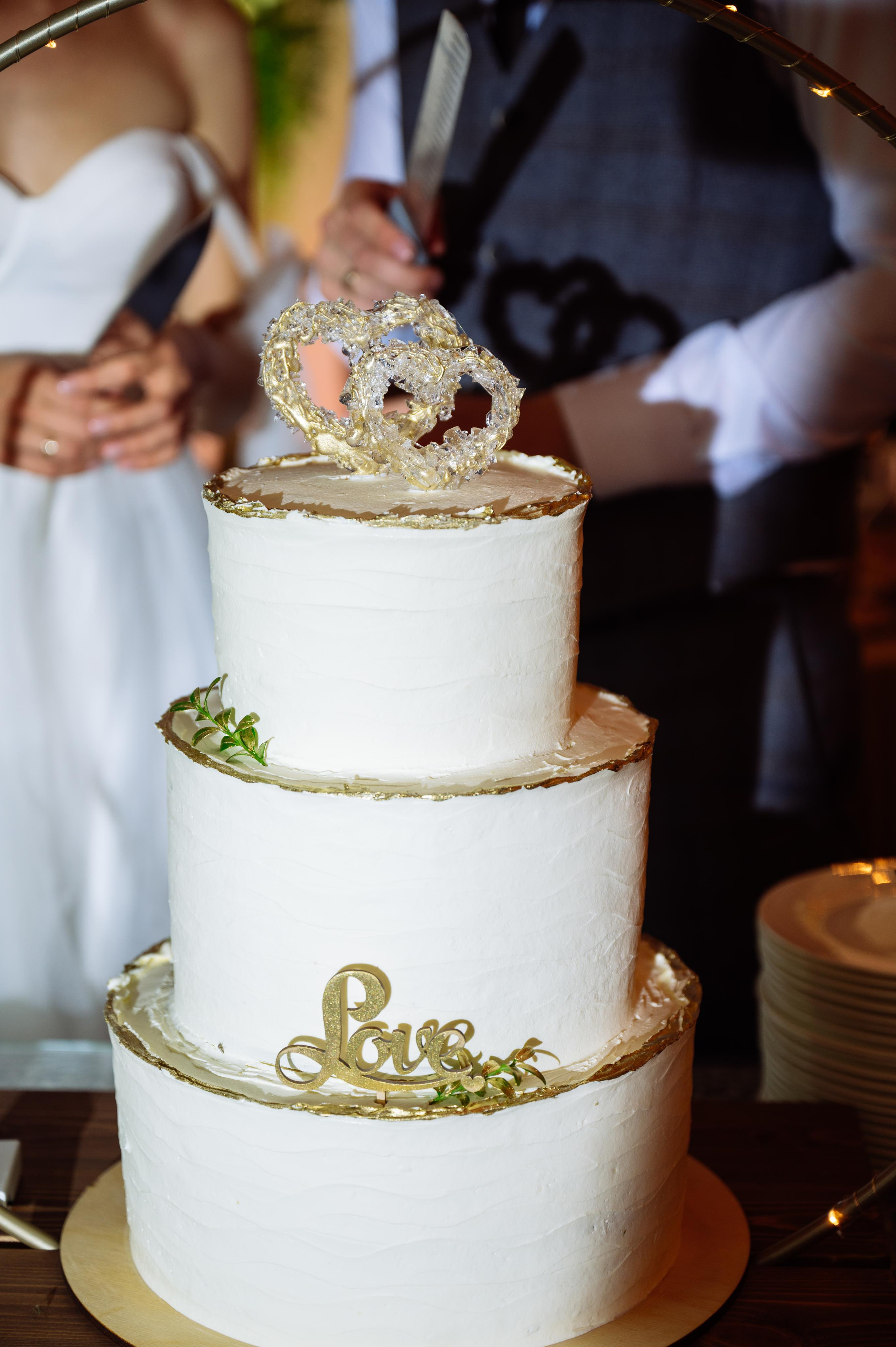 Свадьба Паши и Насти в ресторане Ближняя дача, Ростов-на-Дону