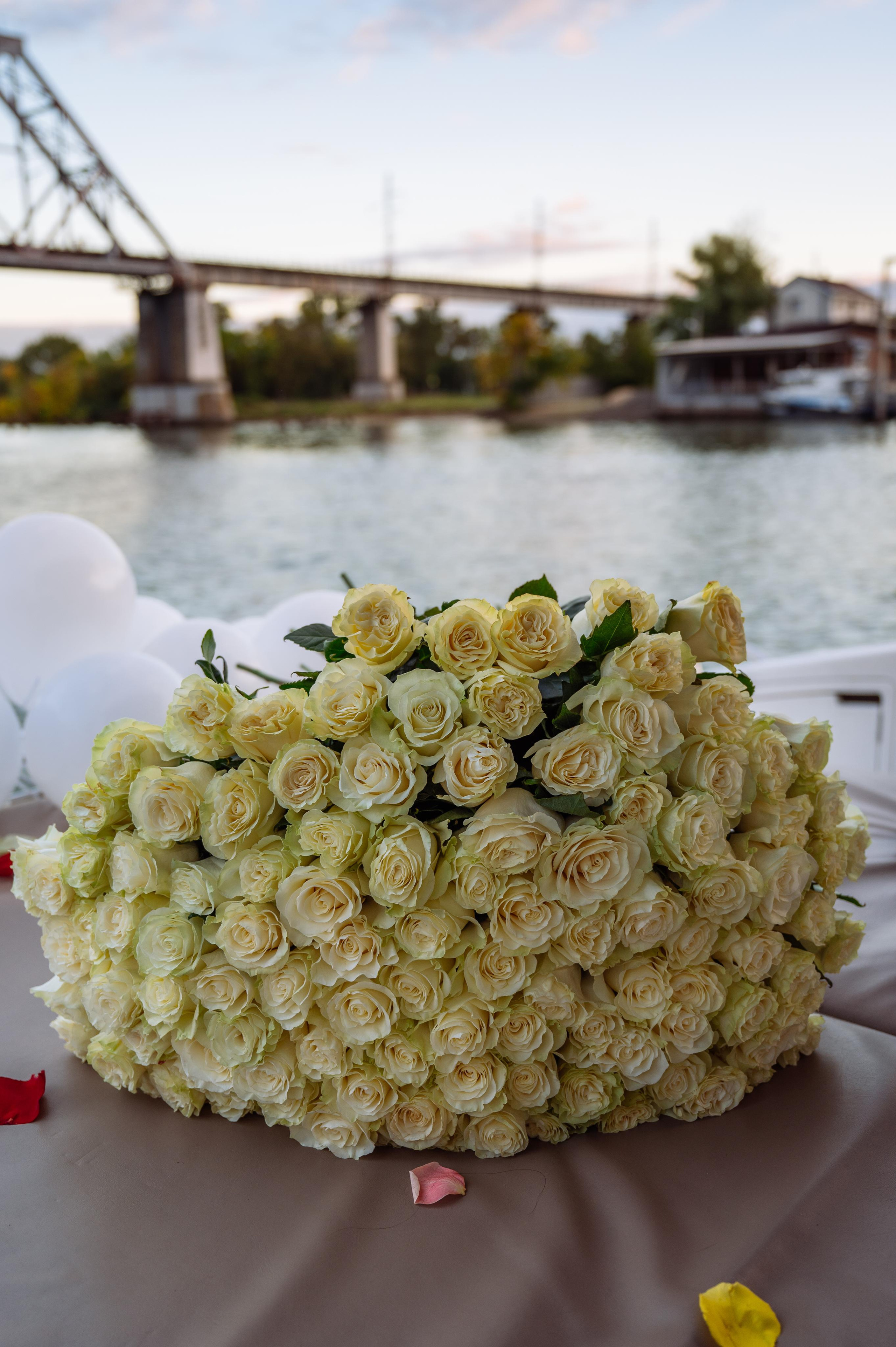 Съемка предложения руки и сердца в Ростове-на-Дону