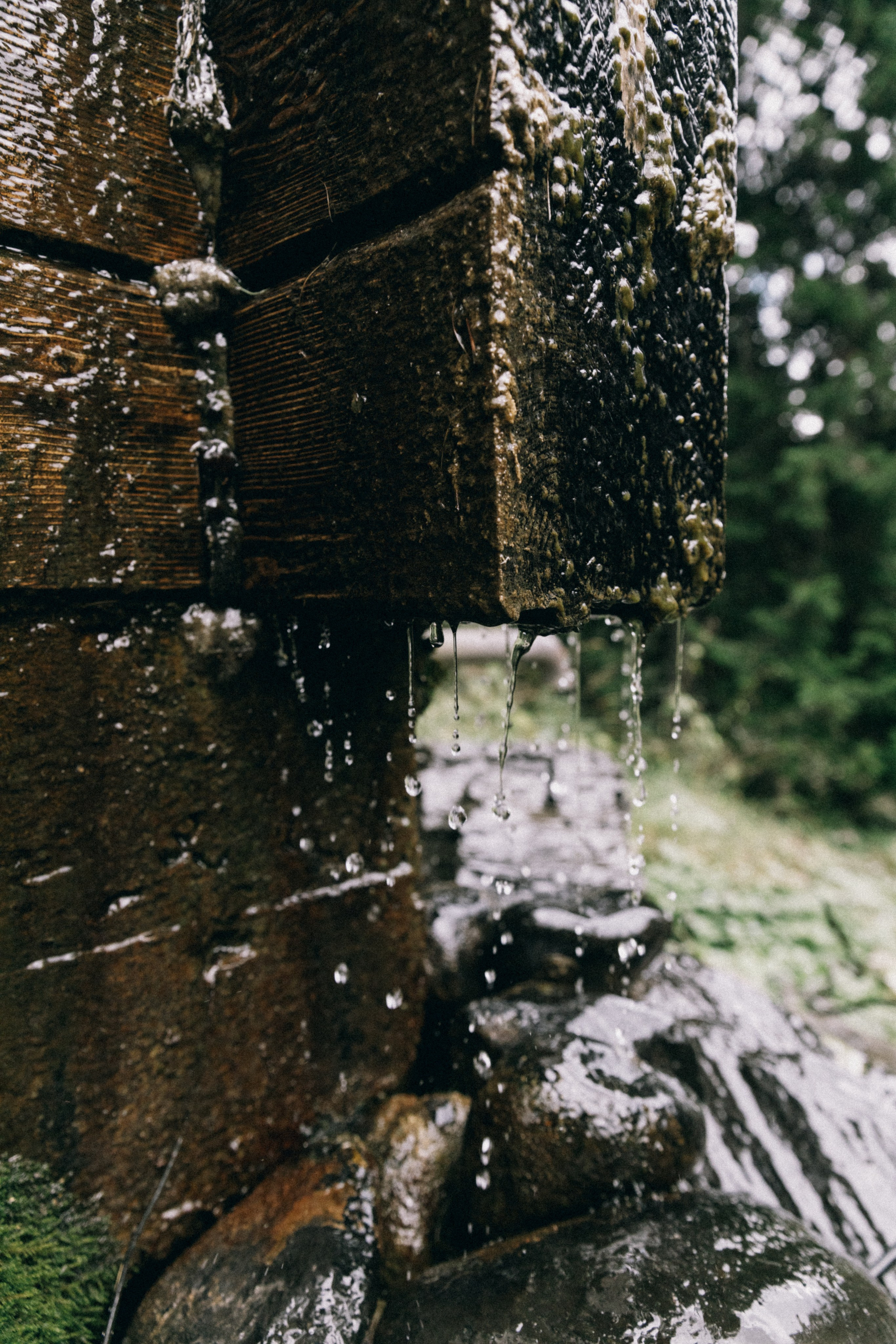 Алтай, природа и эстетика. Александр Чернин. Семейный и событийный фотограф