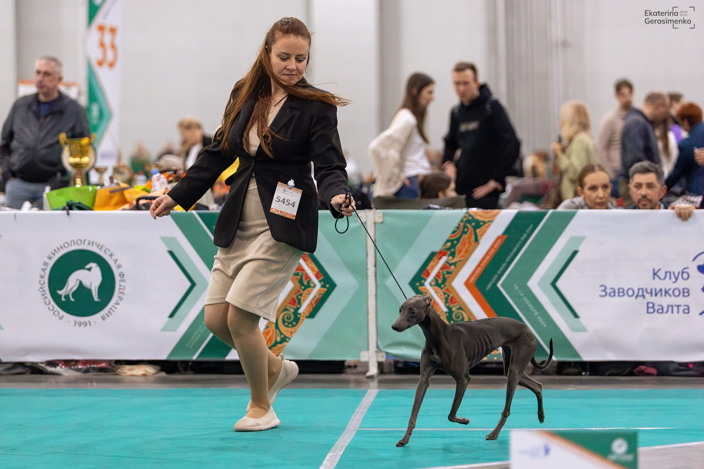 16–17 ноября 2024, Выставка ЕВРАЗИЯ, г. Москва. Htykk_photo