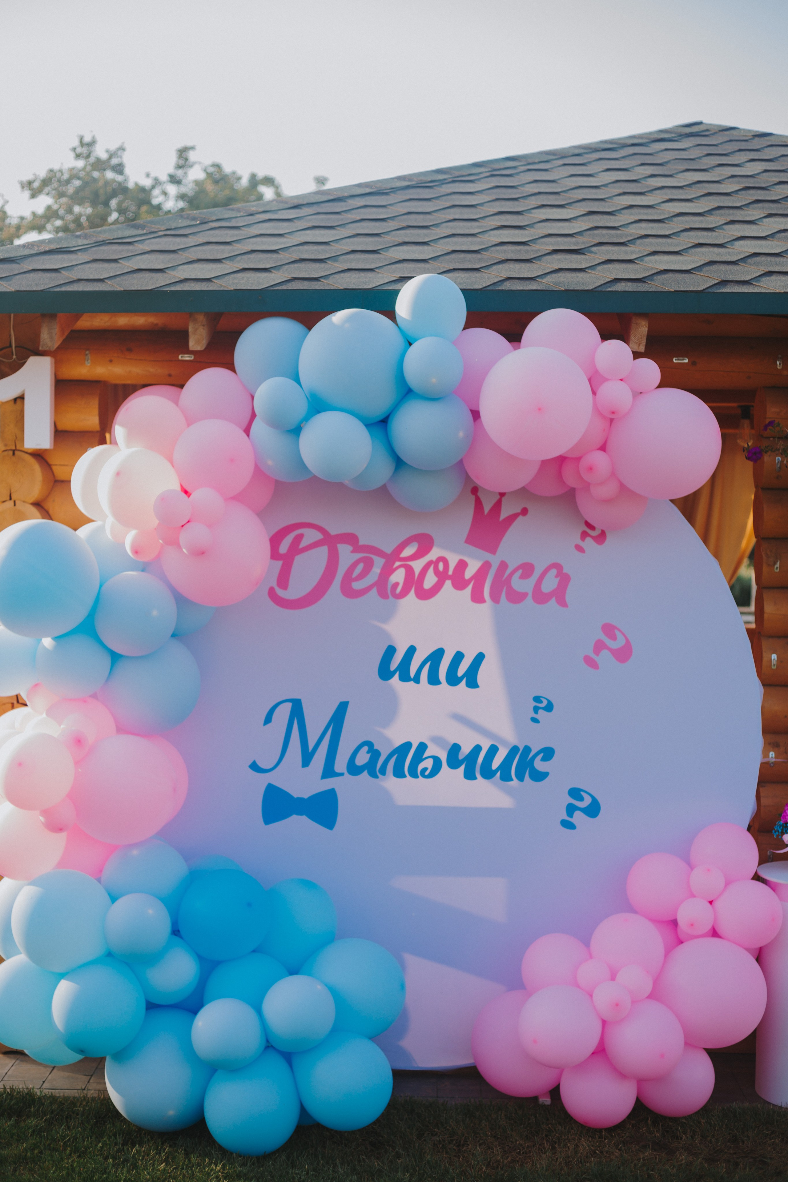 Гендер-пати. Свадебный и семейный фотограф г. Волгоград Биленко Ангелина