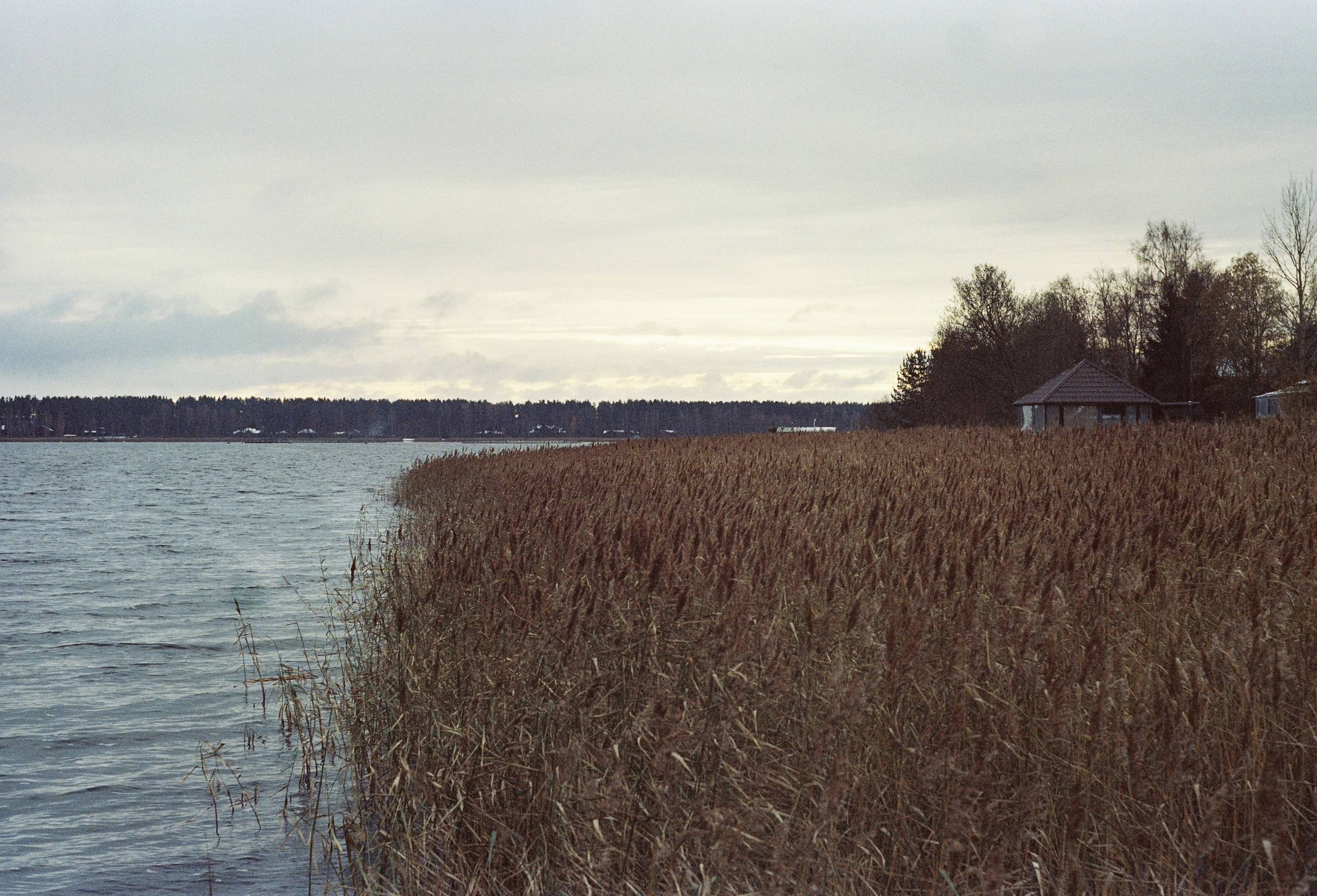 Съёмка на цветную фотопленку. Фотограф в Санкт-Петербурге и Москве Наталья Милли