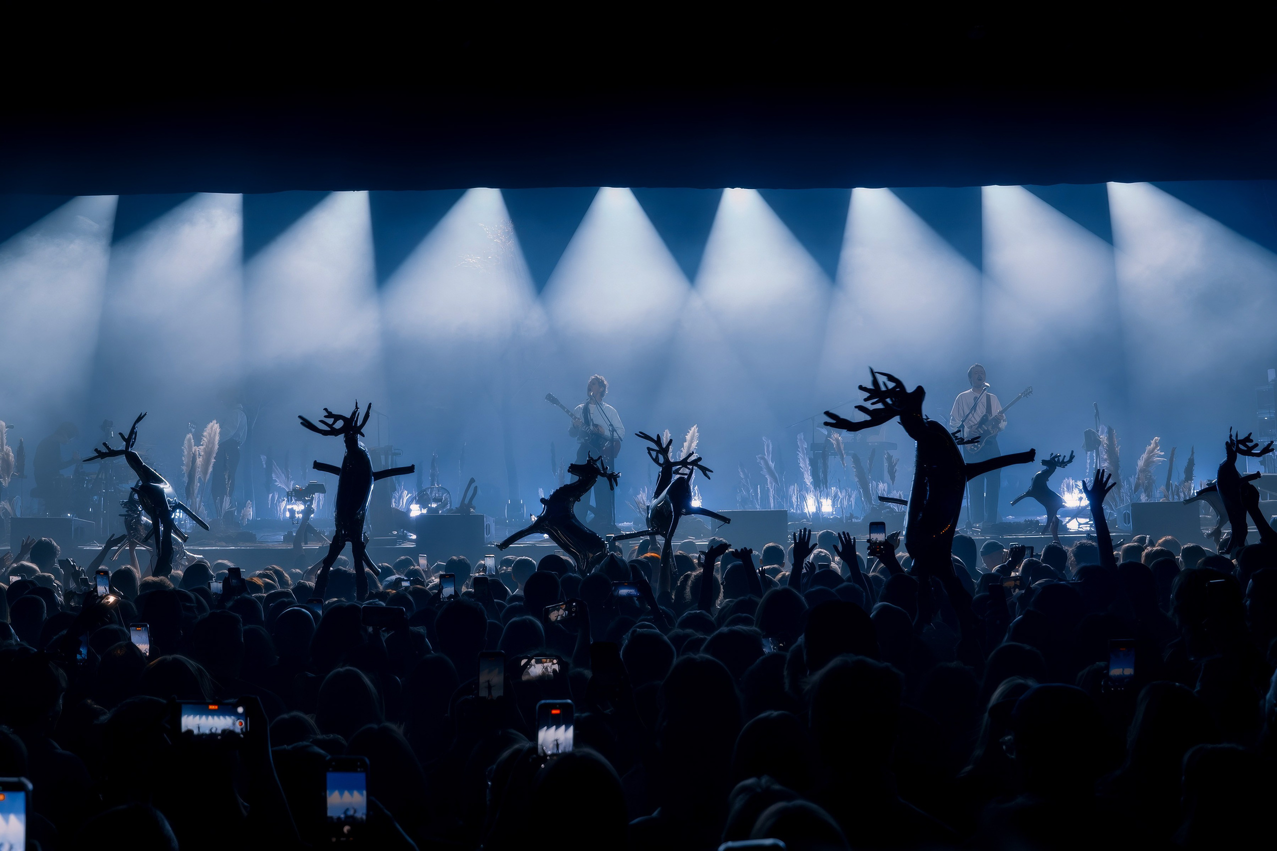 SIROTKIN | SAINT-PETRSBURG | 2026. OOPS