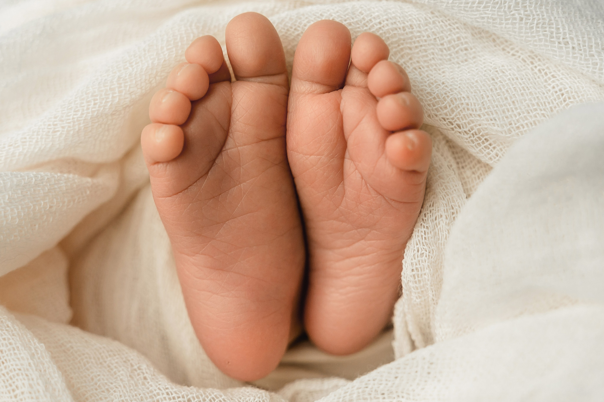 Пакет № 2 Оптимальный. Фотограф Москва Подольск МО