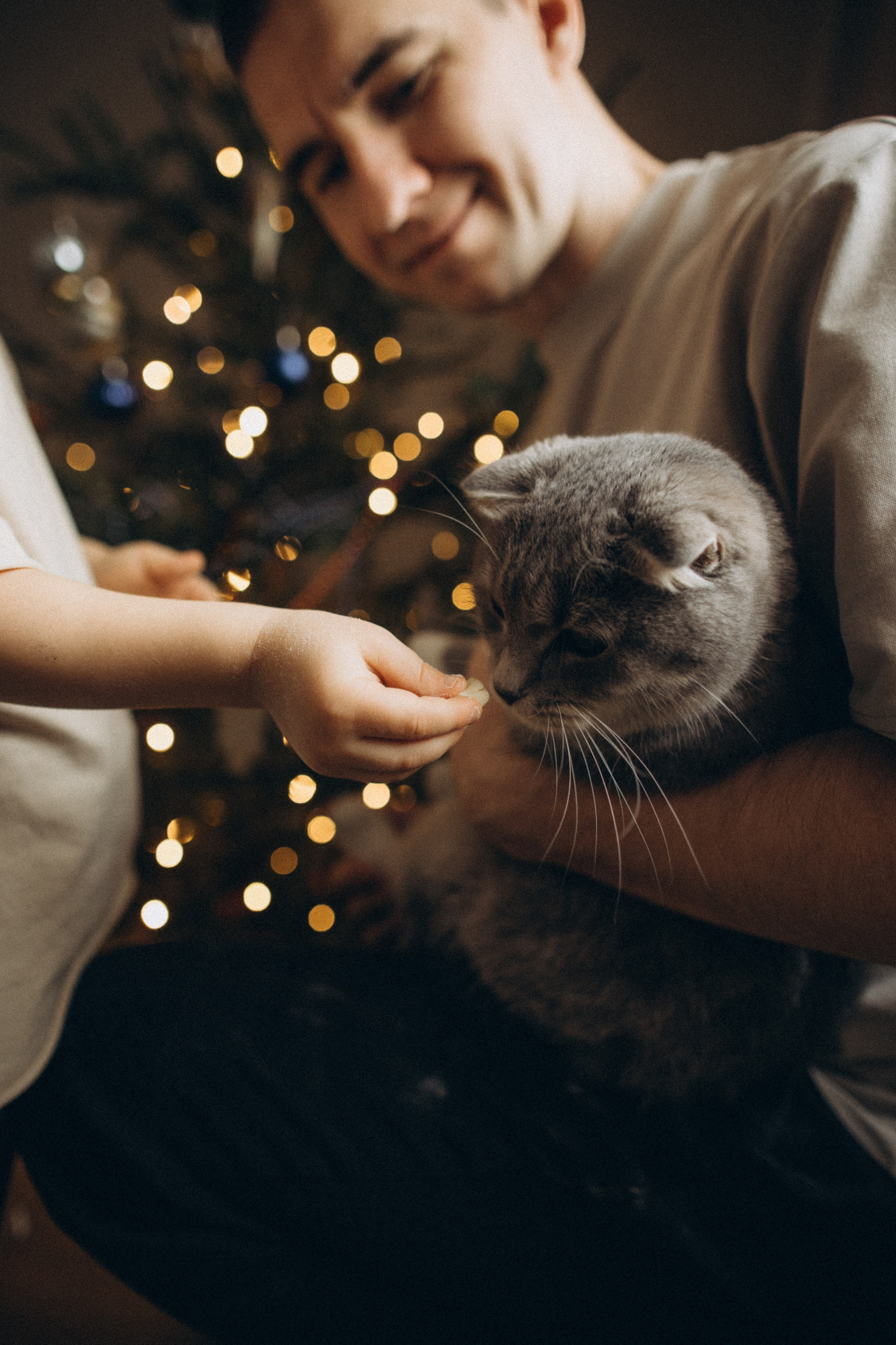 Предновогоднее настроение🌲. Семейный фотограф в Краснодаре Анна Пасик