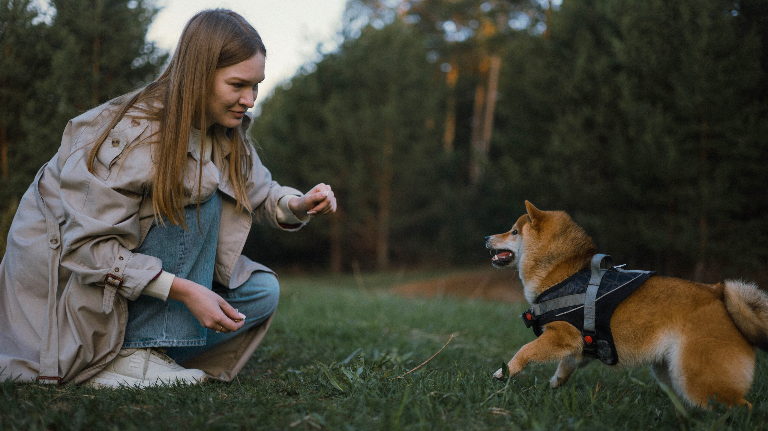 Аня и Шани. Фотограф-анималист Богданова Полина