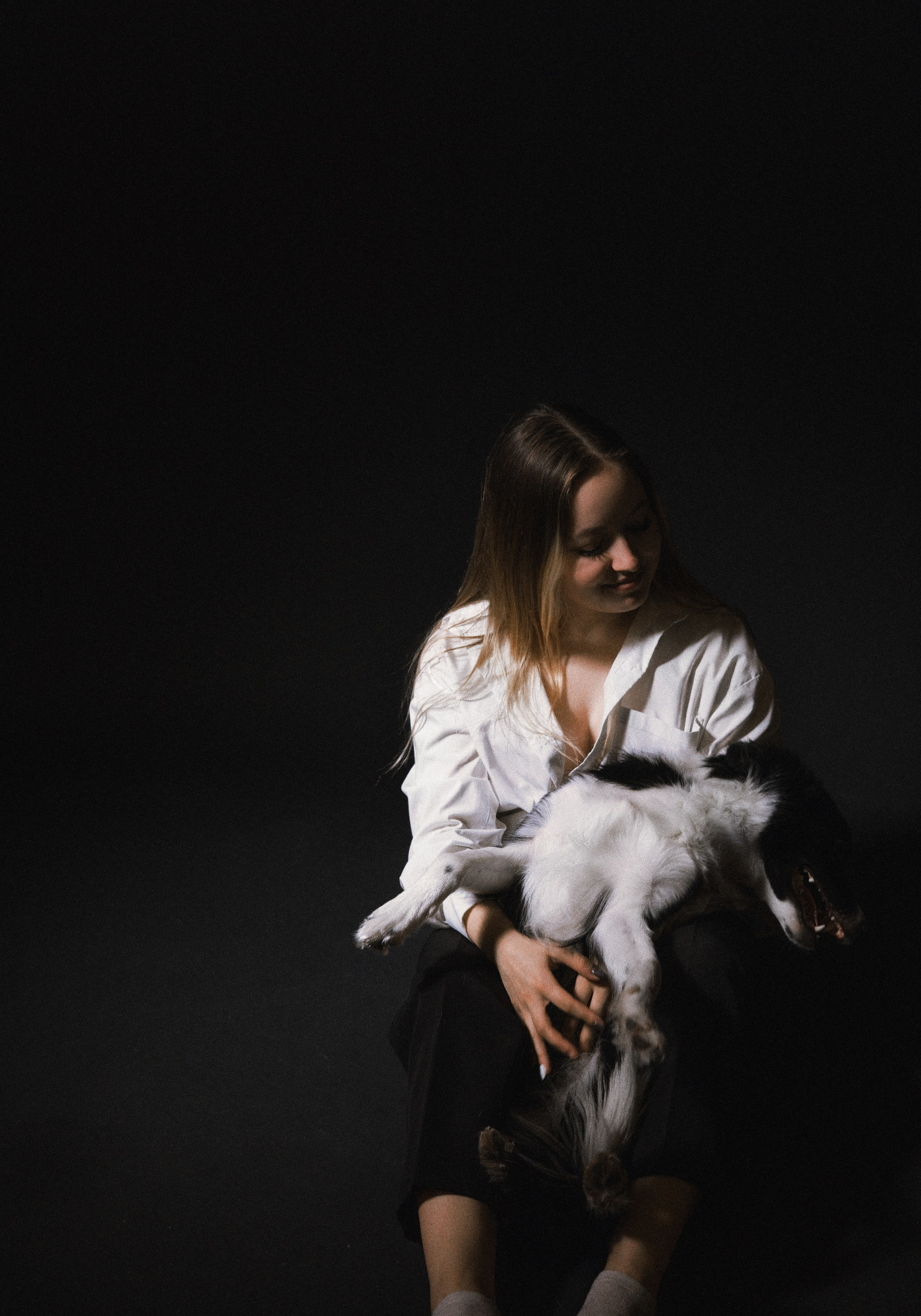 Даша, Дже и Рива. Фотограф-анималист Богданова Полина