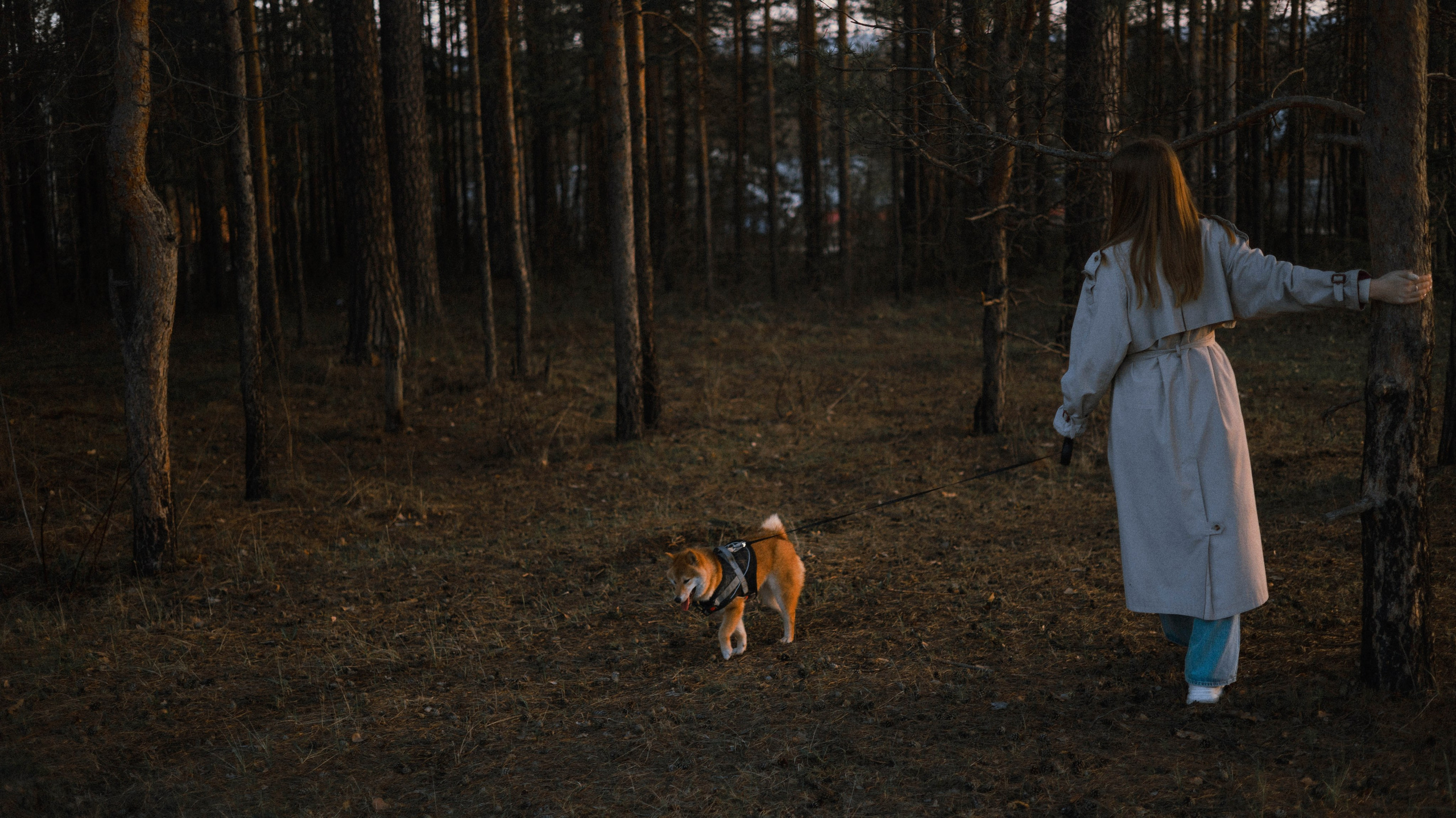 Аня и Шани. Фотограф-анималист Богданова Полина