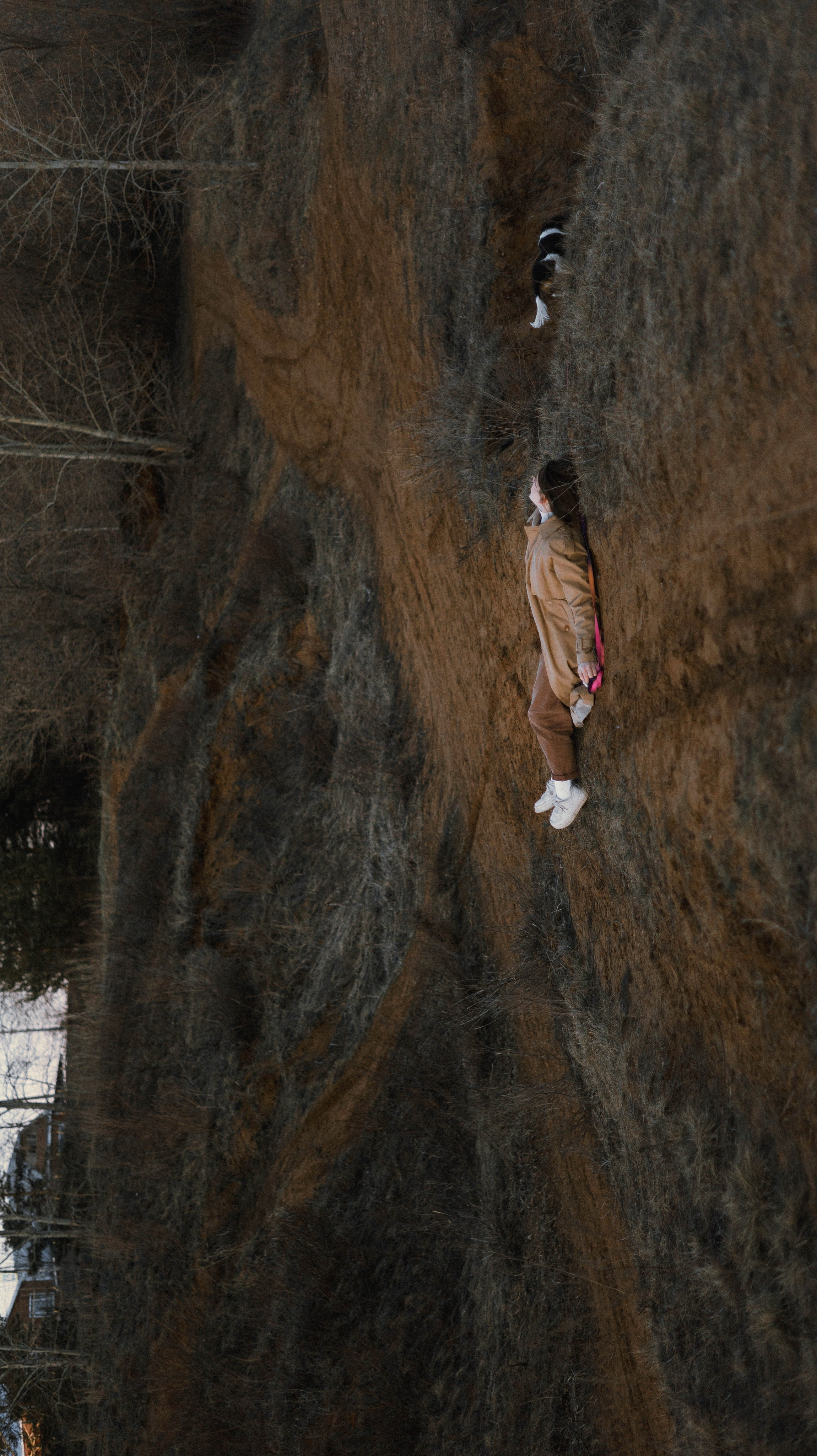 Ангелина и Йен. Фотограф-анималист Богданова Полина