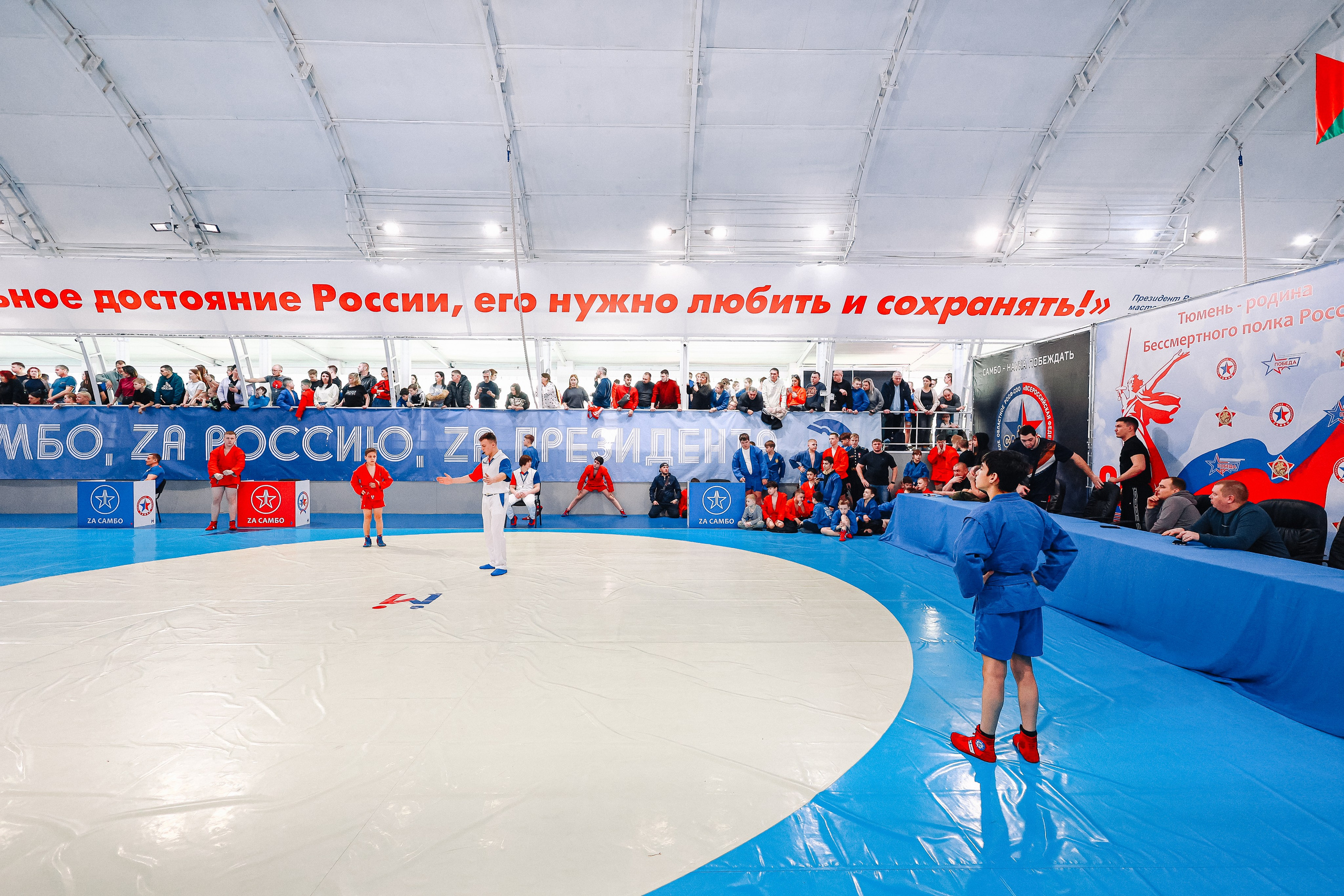 Первенство Тюмени по самбо. MIG — студия спортивной фотографии Михаила Голянского