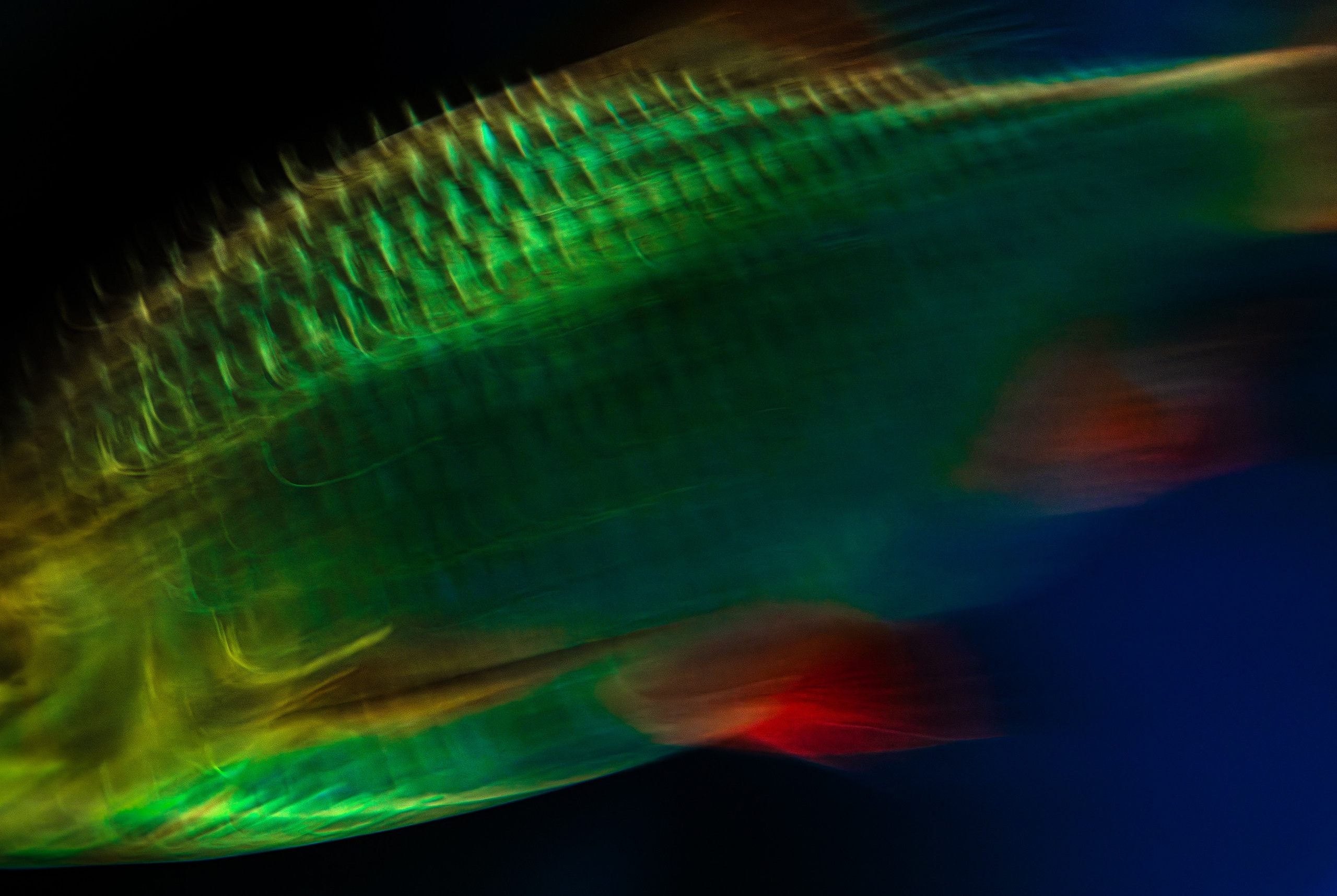 UNDERWATER. LUMEN DUO Art photography for interiors