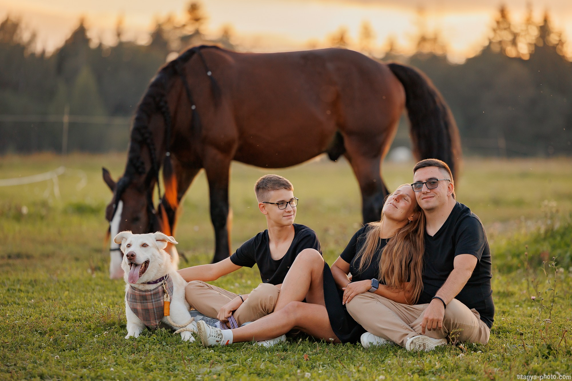 Закатная семейная фотосессия: про Настю и её дружную семью. Фотограф собак, фотограф-анималист Аня Титова (Titanya). Москва