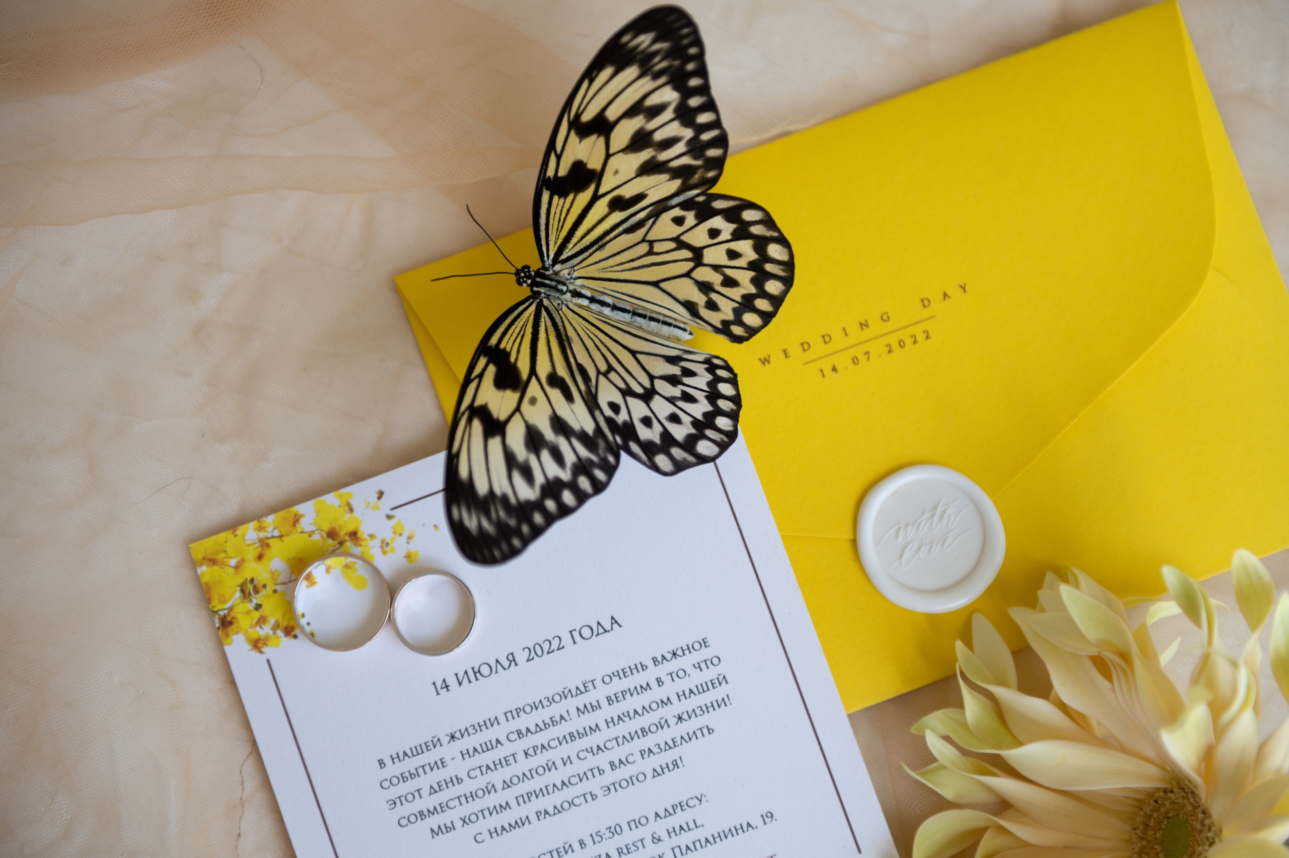 Руслан и Алёна. Фотограф Павел Петров г. Тюмень