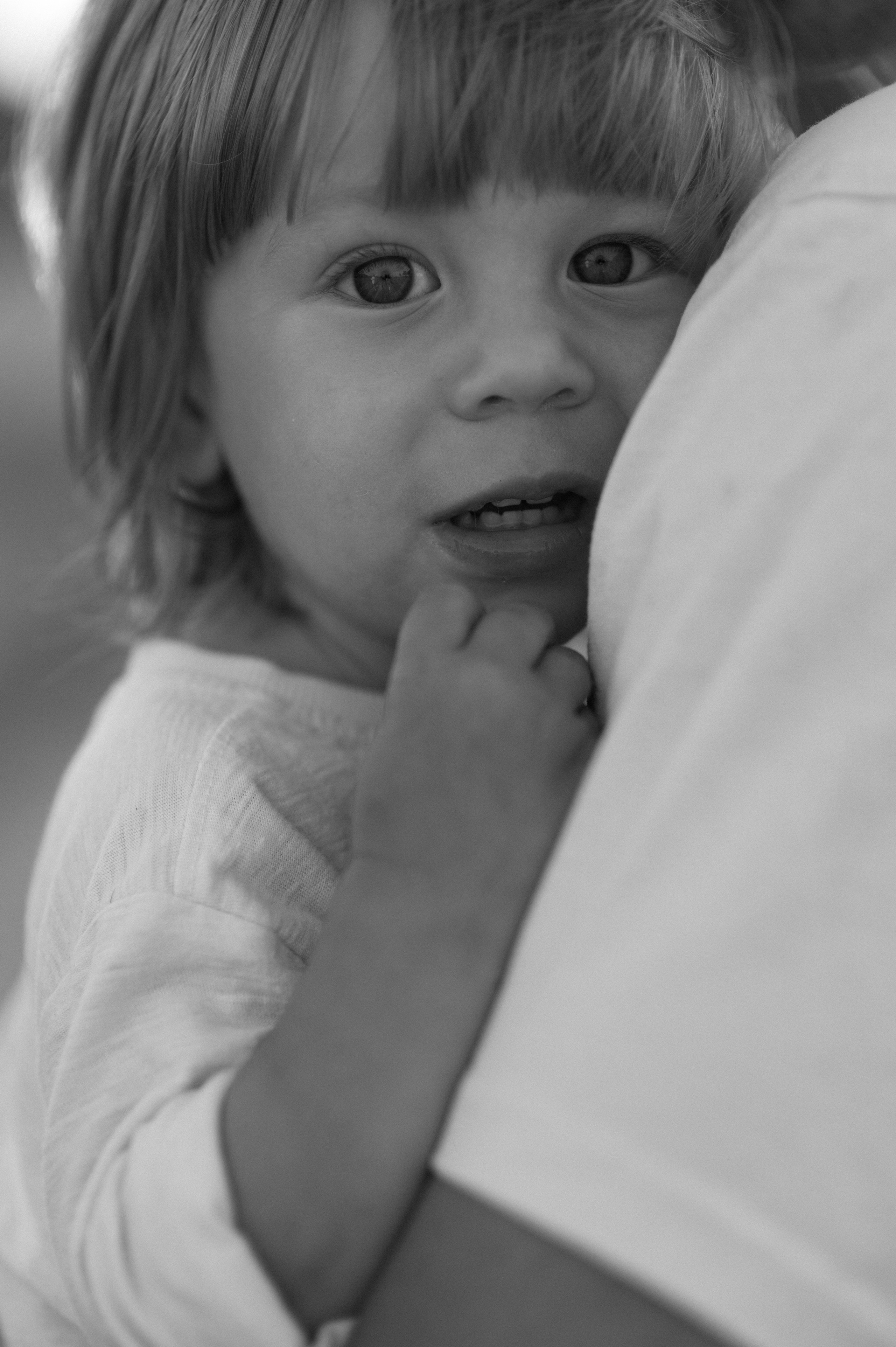 Там где деревья выше домов. Фотограф Павел Петров г. Тюмень