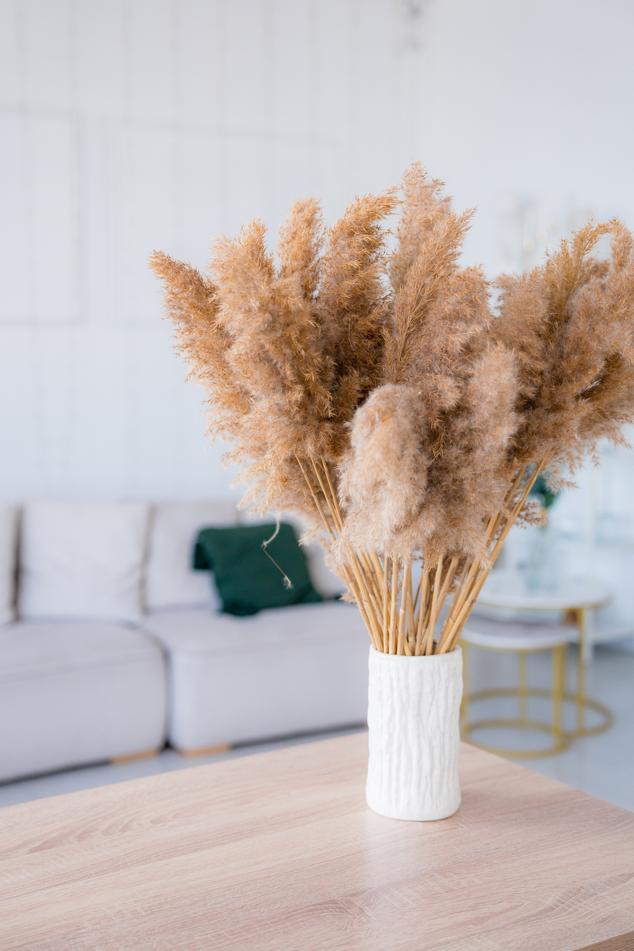 Фотостудия. Фотостудия Малина в городе Улан-Удэ. Фотограф Ирина Жарникова