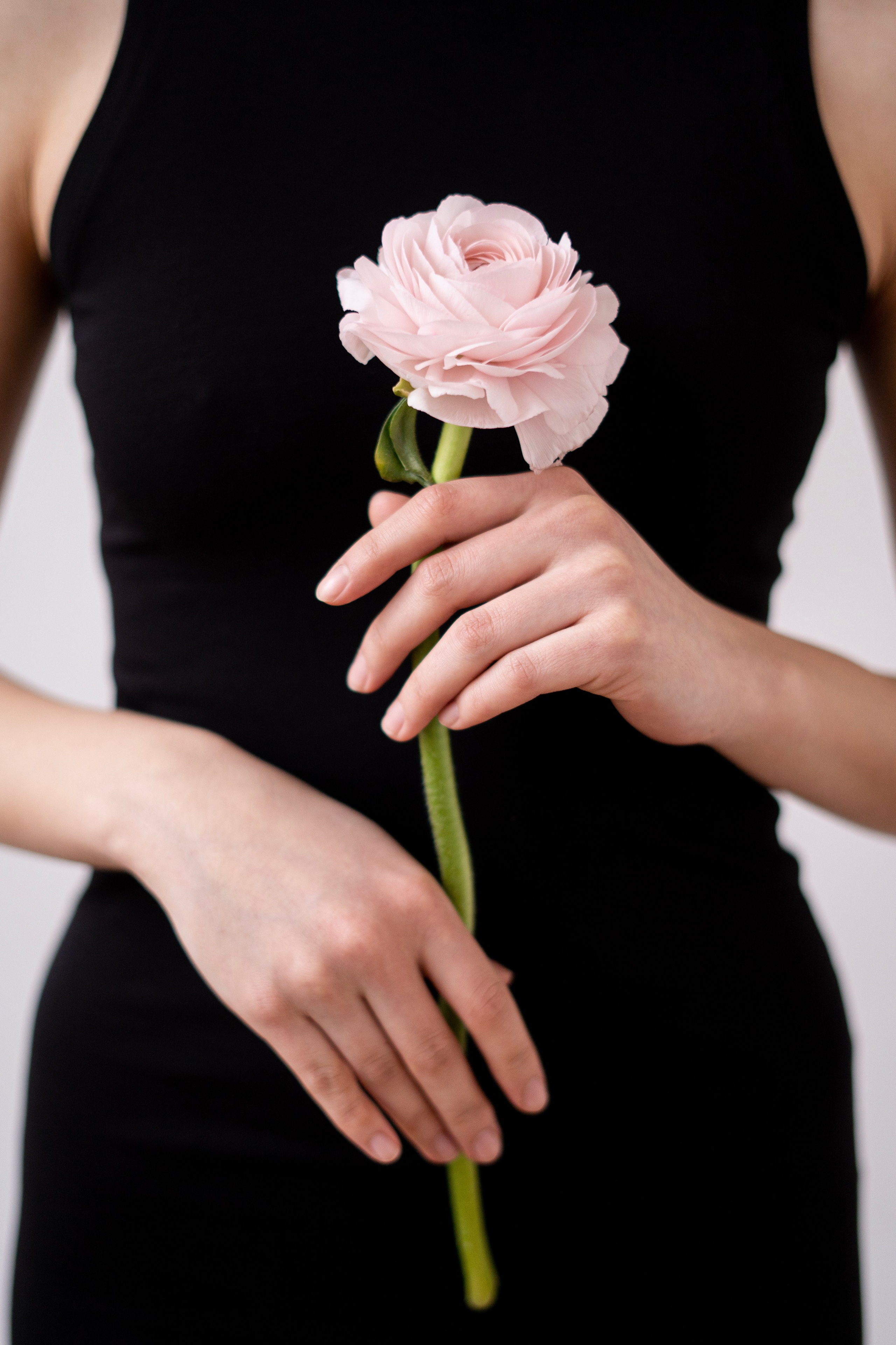 Каталог. Ольга Ибатуллина