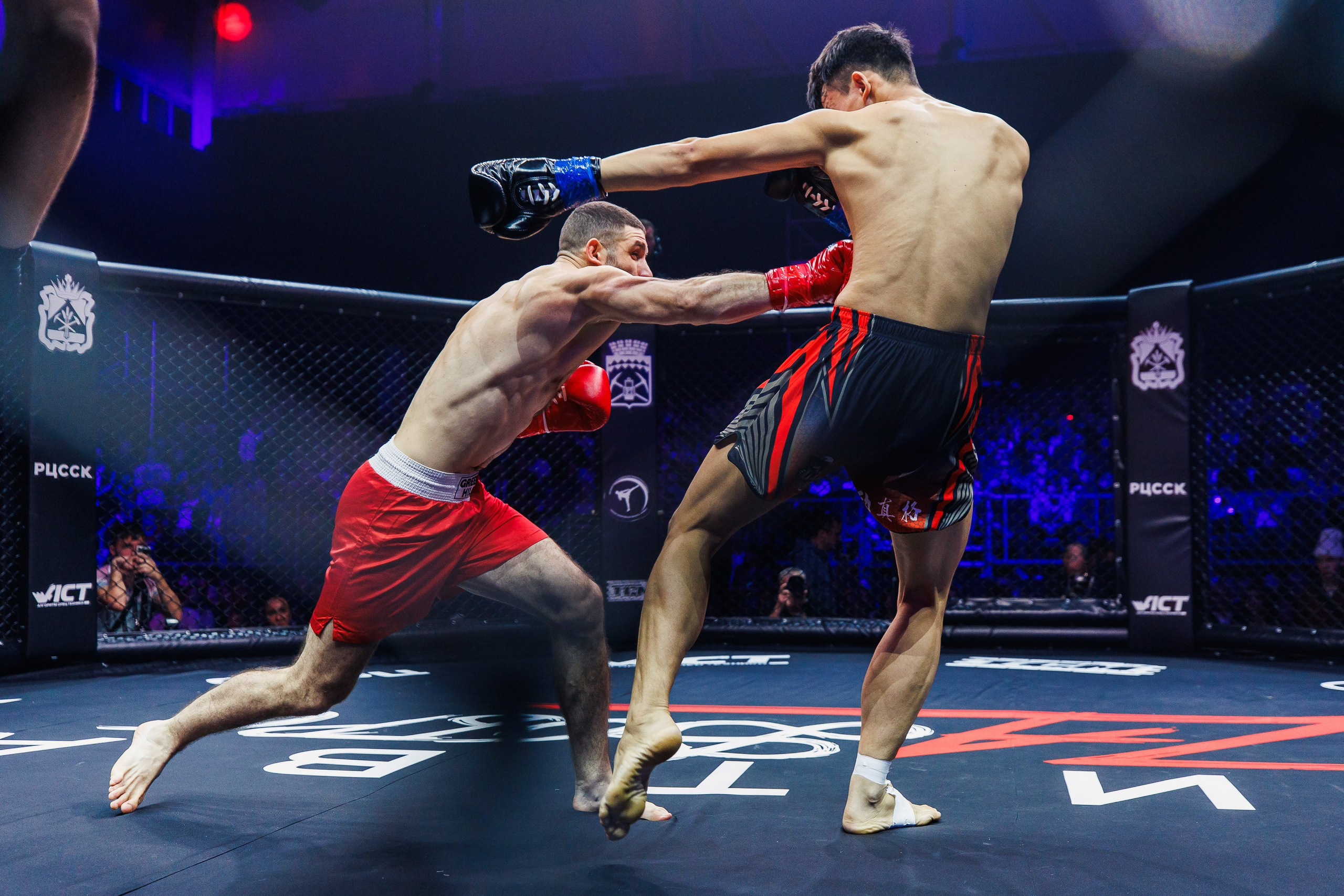 Битва за добро 2023. Photographer Danil Aykin