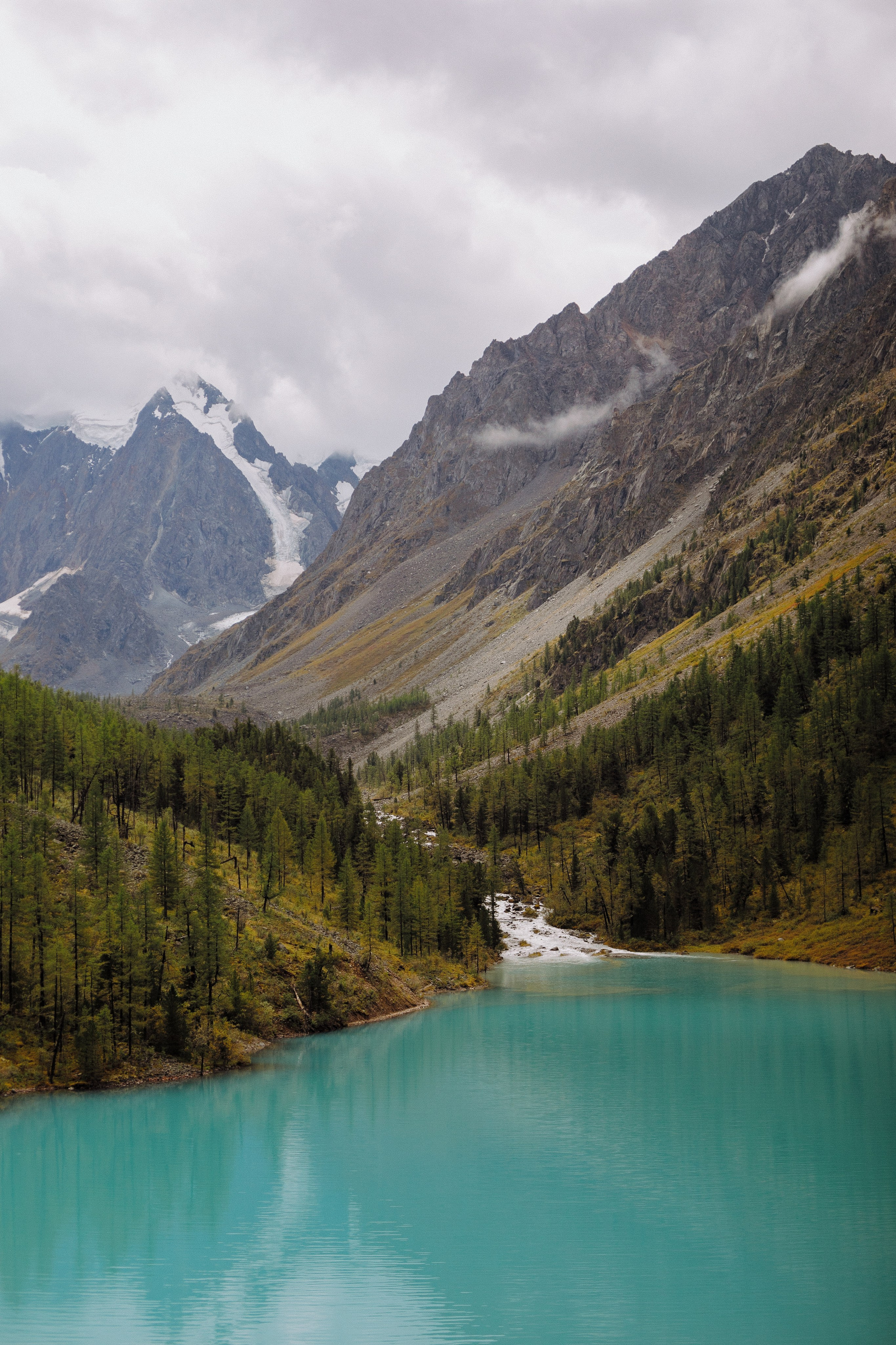 Шавлинские. Главная