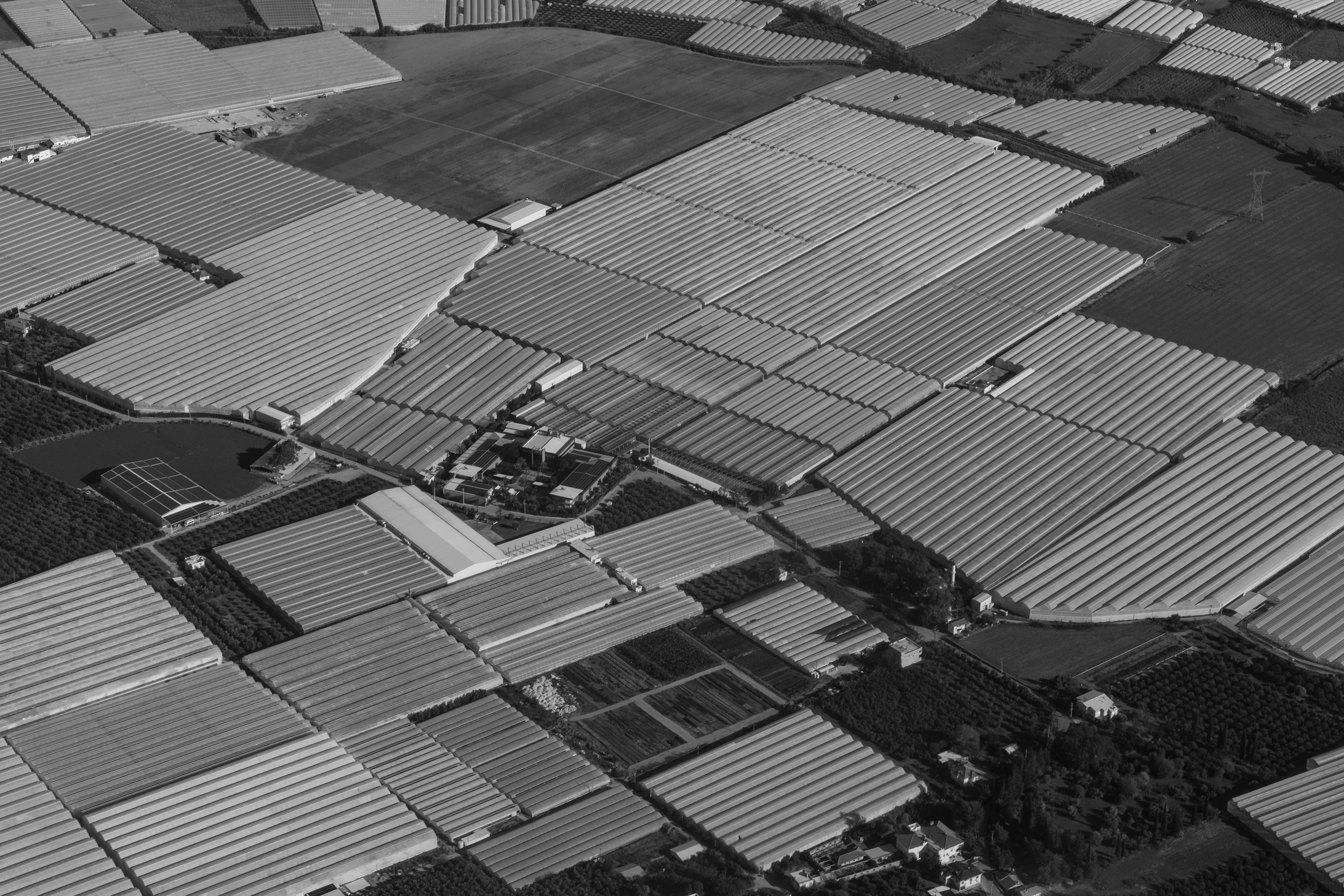 Art prints. Фотограф алина стерхова, алина стерхова фотограф, фотограф москва