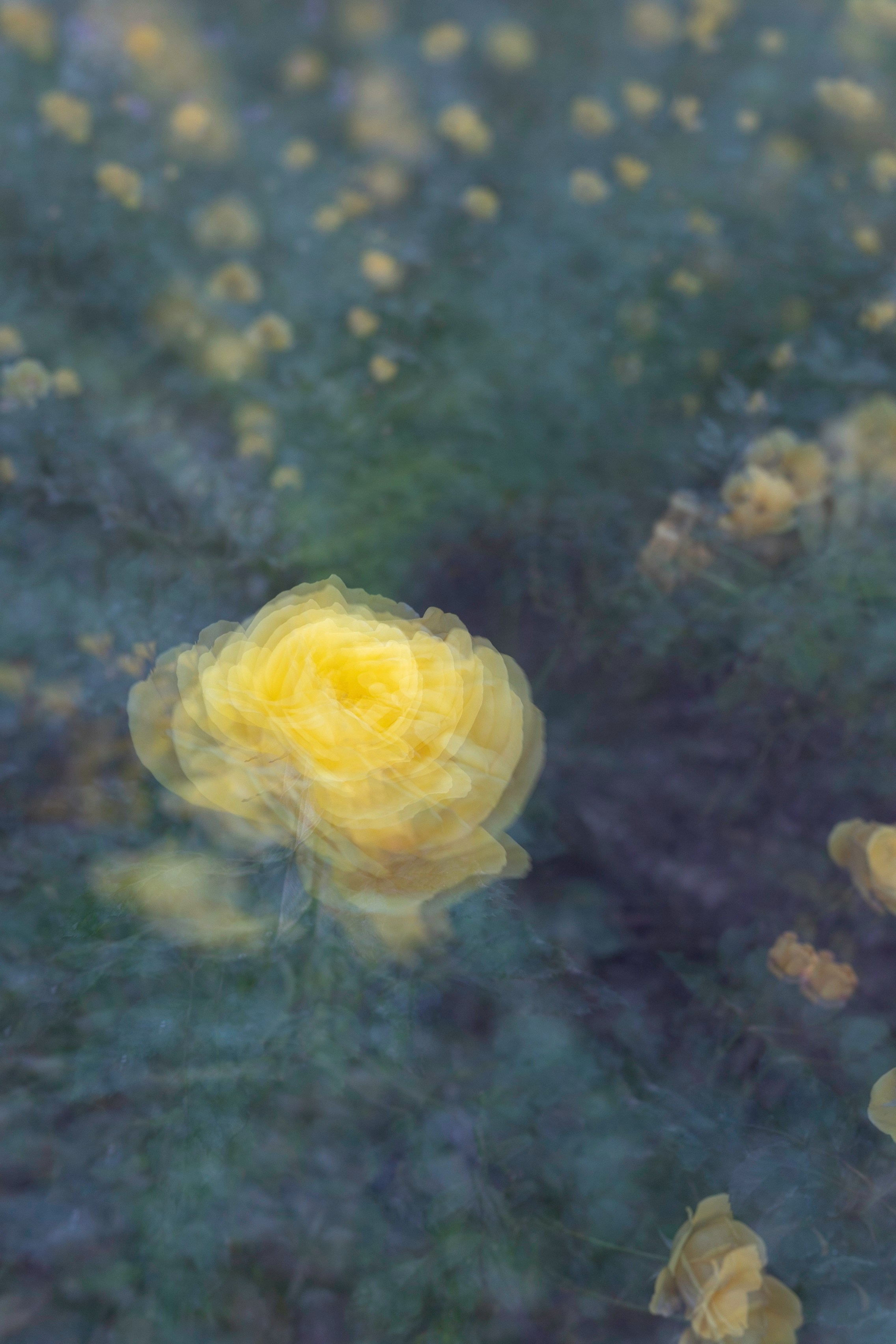 Art prints. Фотограф алина стерхова, алина стерхова фотограф, фотограф москва