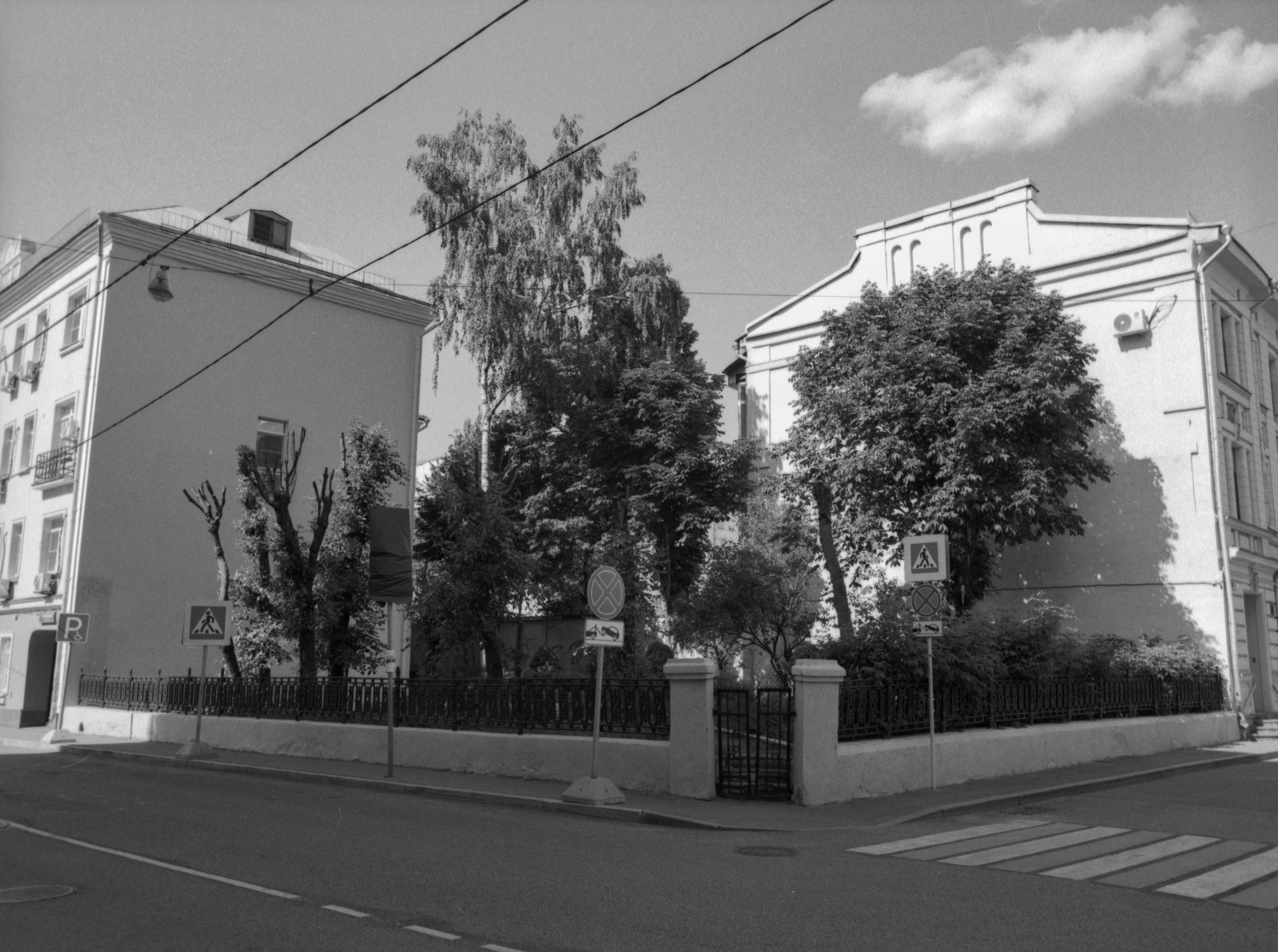 Prints. Maria Abdullaeva