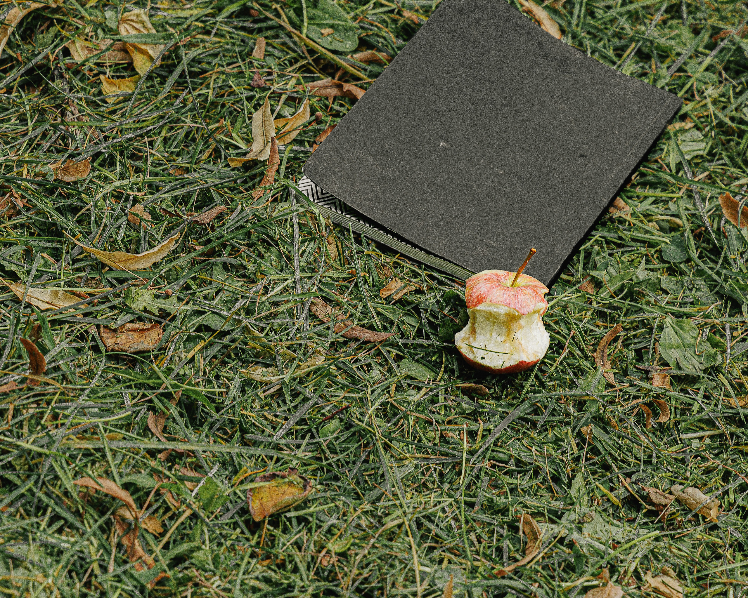 Максим. Портретный фотограф Москва | Елена Столиванова