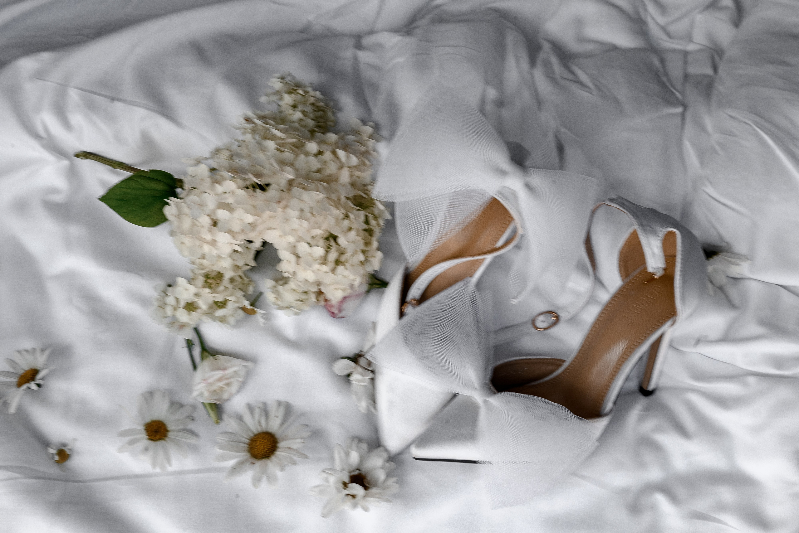 Михаил и Диана. Фотограф Анна Абрикосова