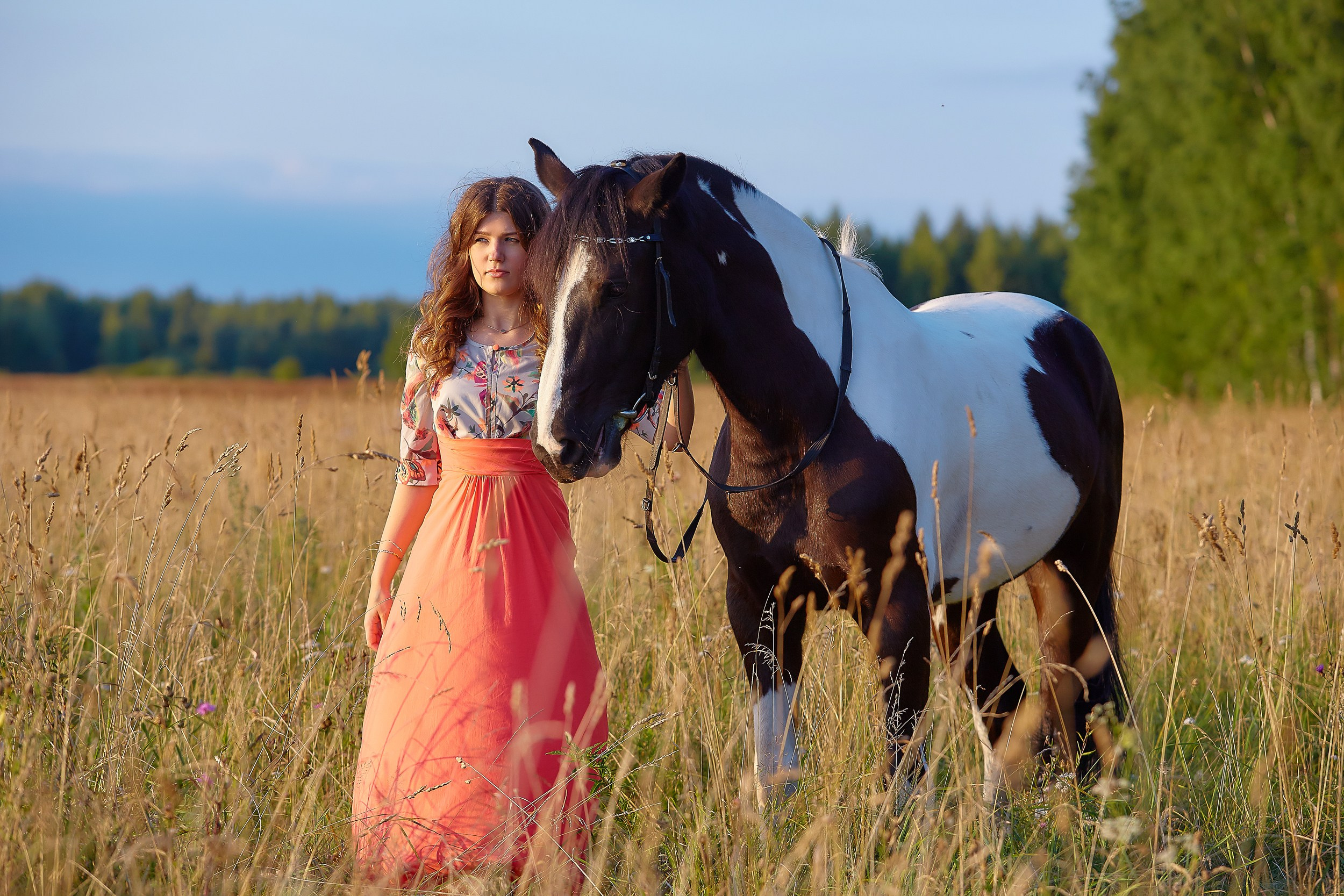 Фотосессия с лошадьми для Ирины. Фотограф Михаил Семенов