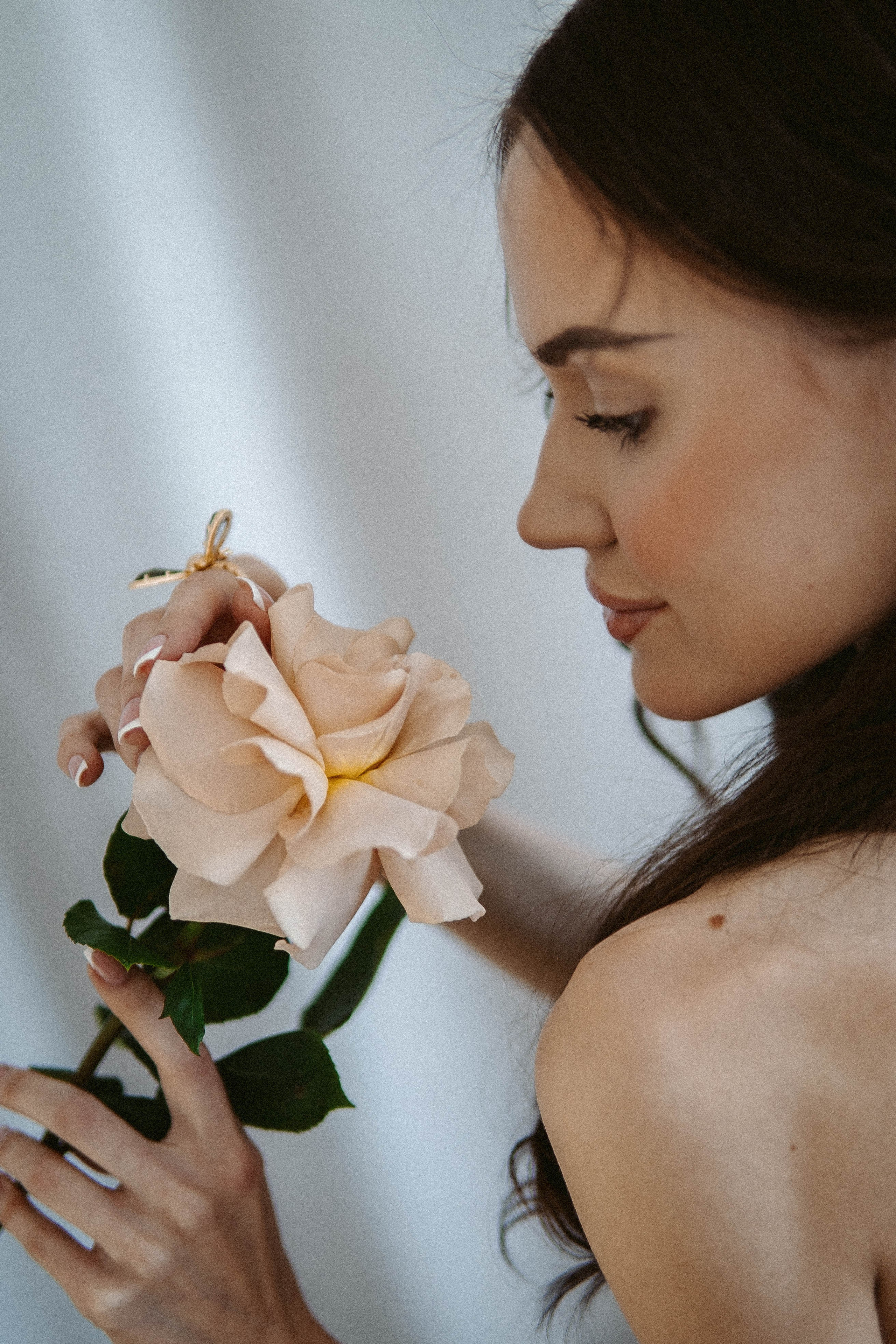 Виктория (прокат). Главная страница