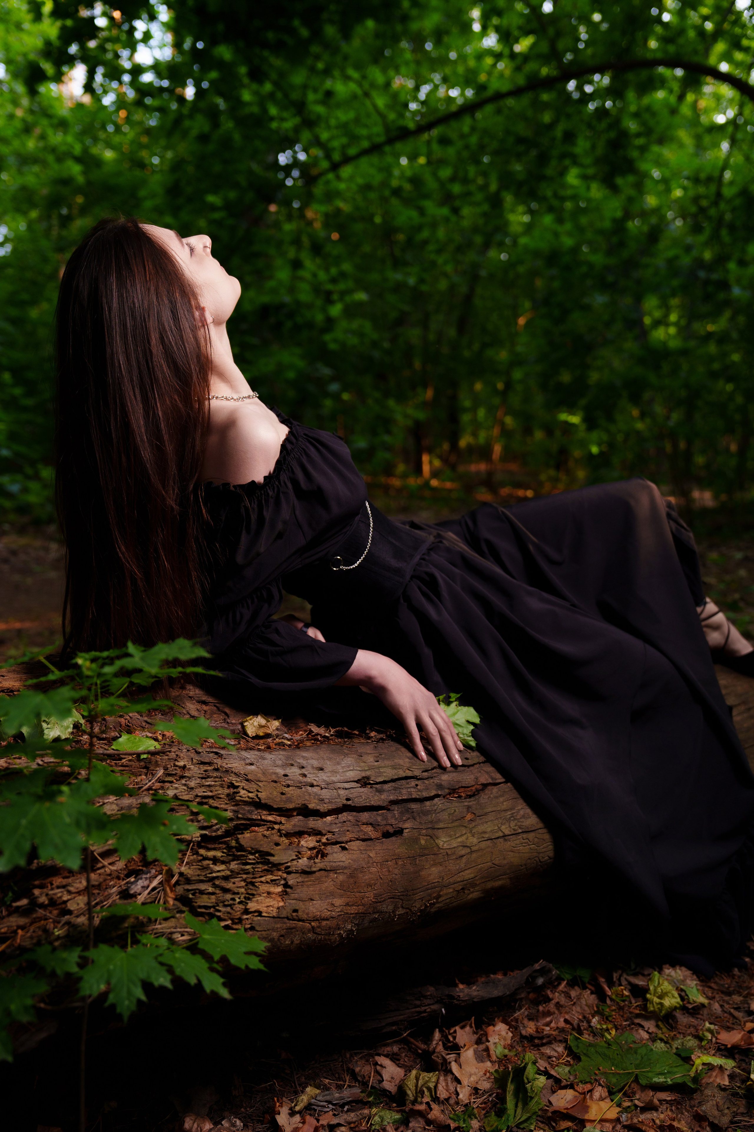 FOREST. Фотограф Герман Лебедев — Тольятти