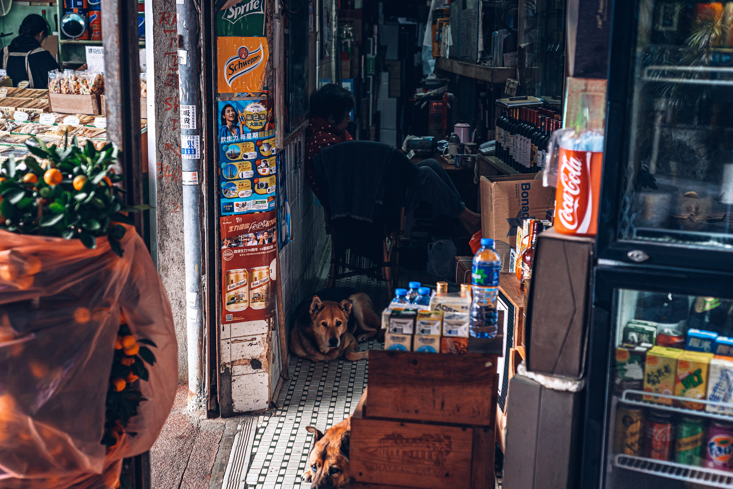 Путешествие рекламного фотографа из Гуанчжоу по Гонконгу 2 | Истории и вдохновение. Коммерческий и предметный фотограф в Гуанчжоу Коваленко Александр