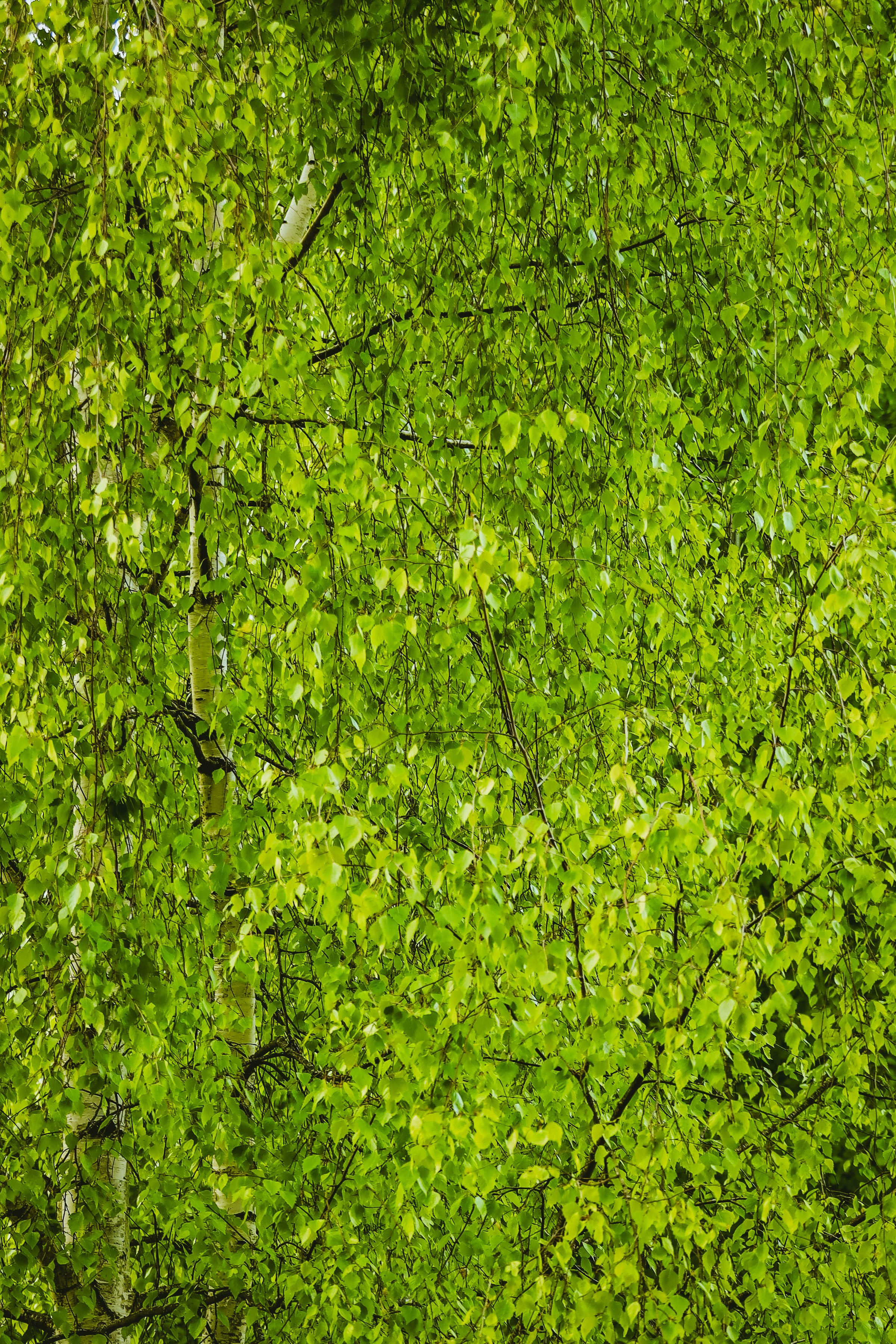 Эксперименты. Фотосессии и репортаж — Фотограф в Москве — Рина Серёгина