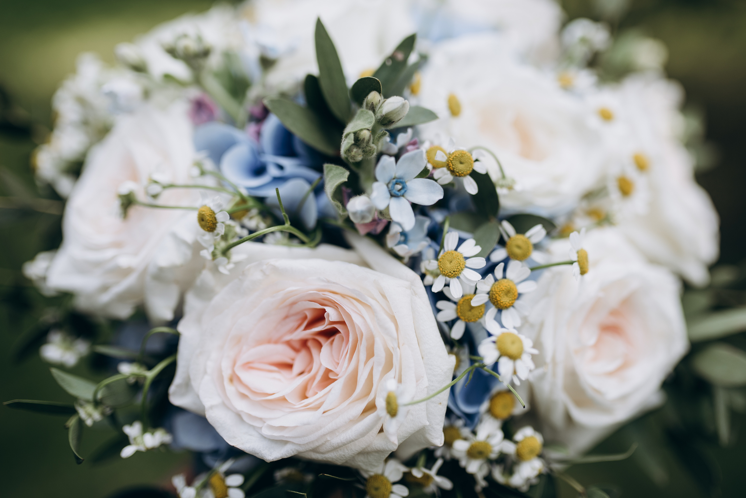 Илона+Самир. Костюшко Кристина — семейный и свадебный фотограф в Минске