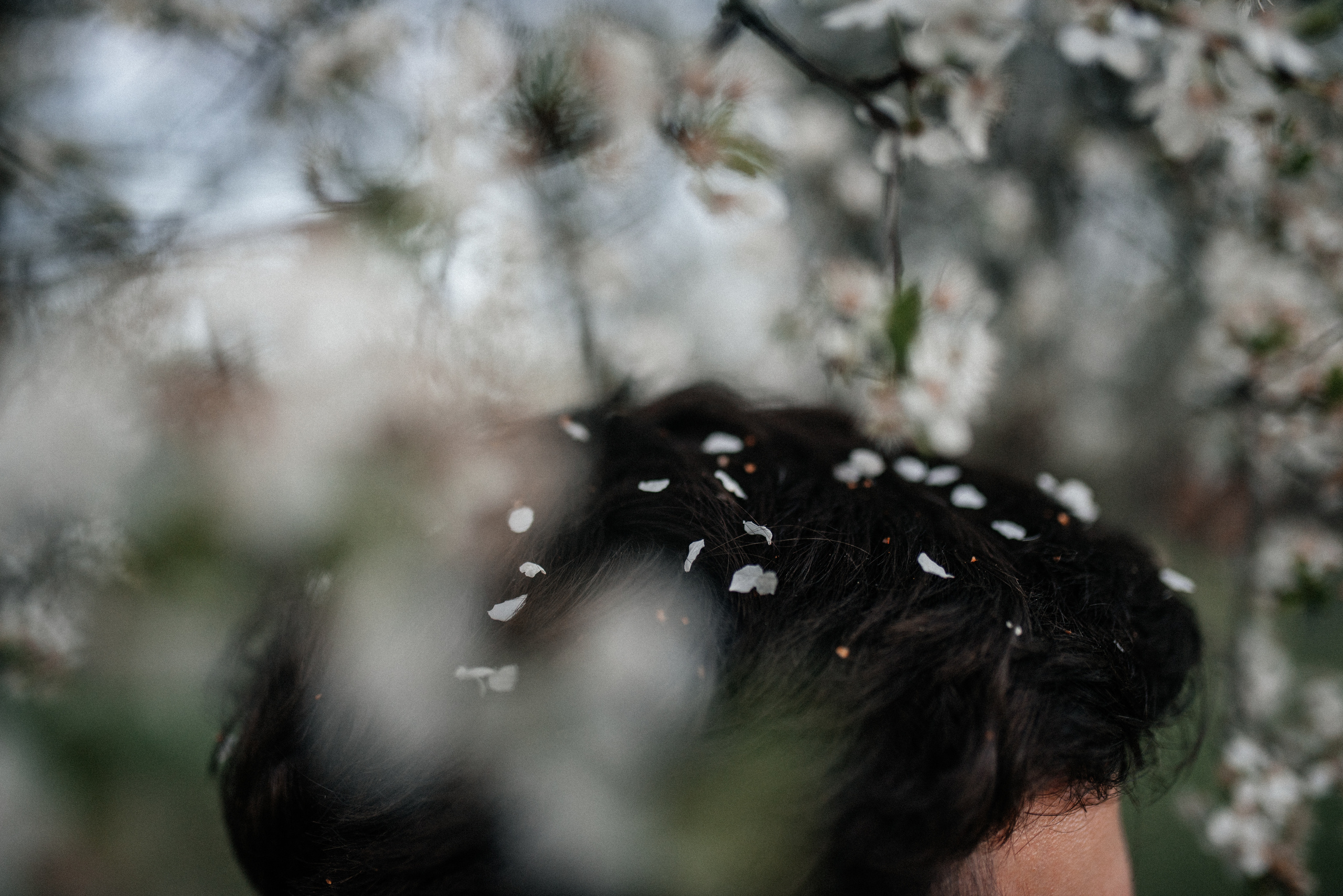 Карина+Леша. Костюшко Кристина — семейный и свадебный фотограф в Минске