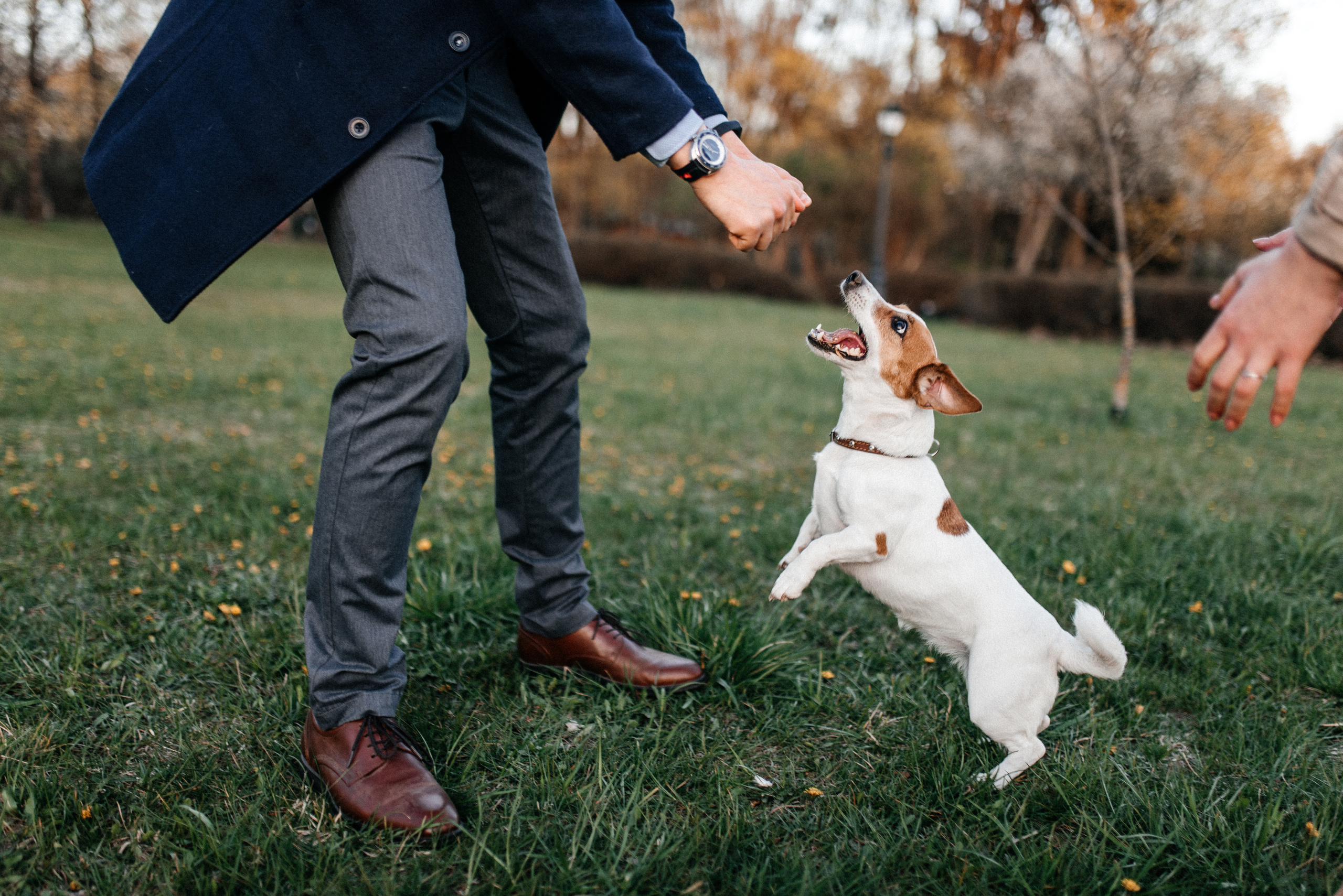 Карина+Леша. Костюшко Кристина — семейный и свадебный фотограф в Минске