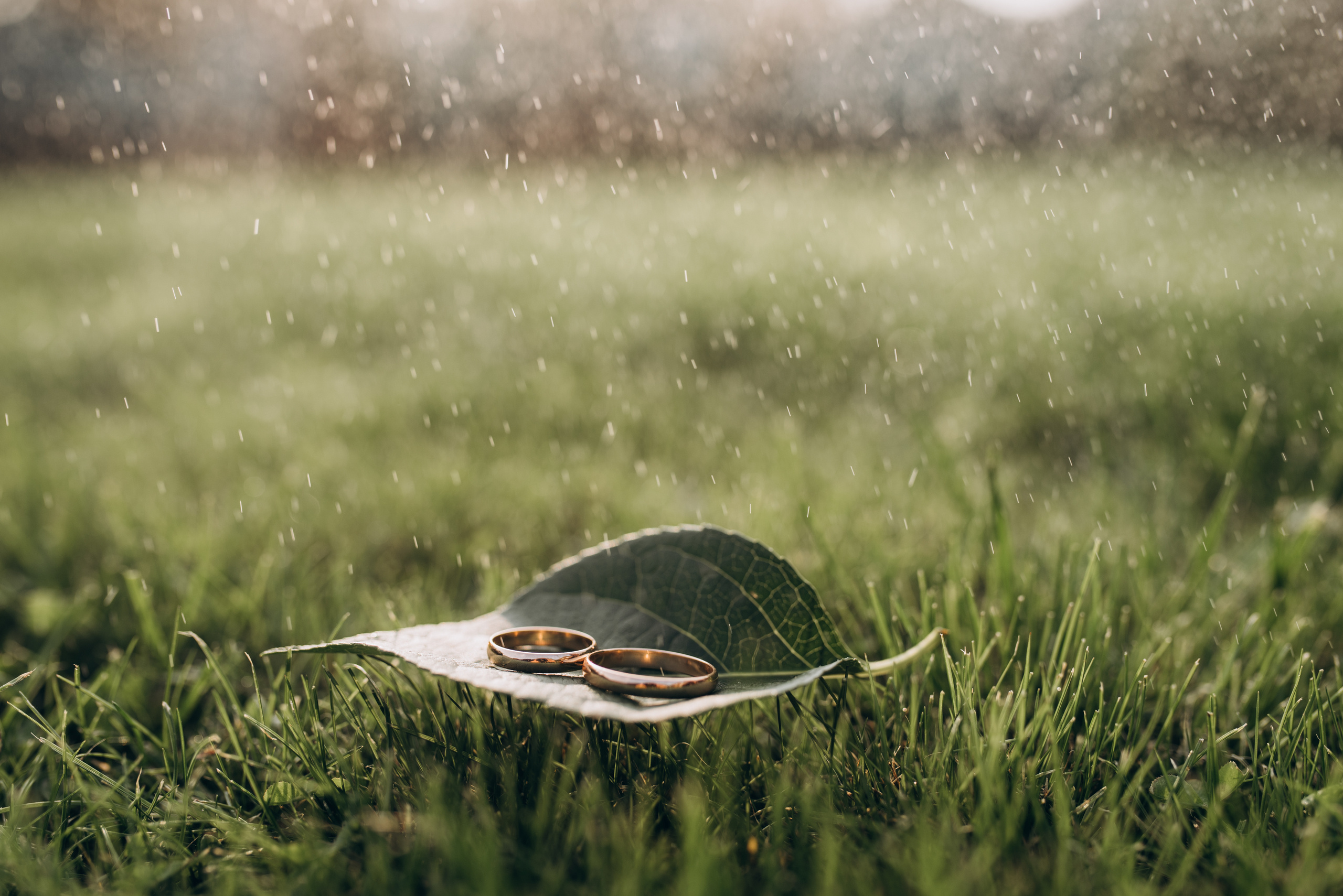 Илона+Самир. Костюшко Кристина — семейный и свадебный фотограф в Минске