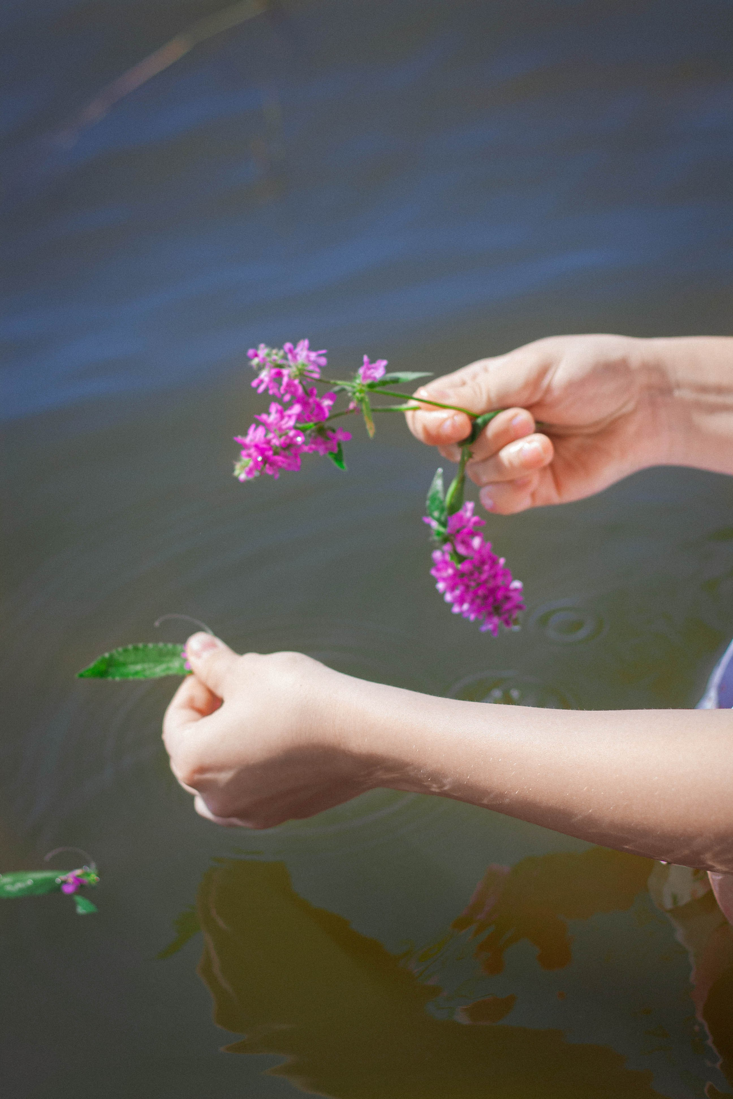 Summer reflections. Портретный фотограф в Саратове